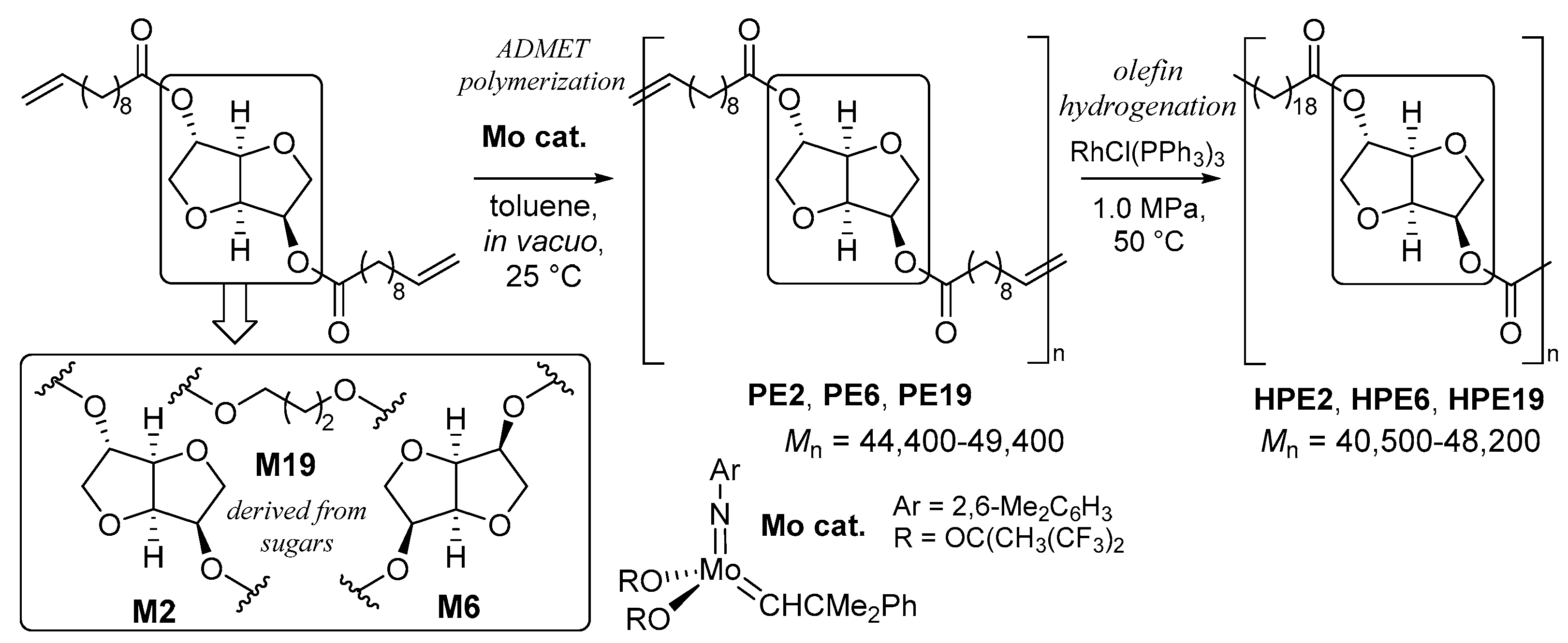 Catalysts 14 00097 sch011