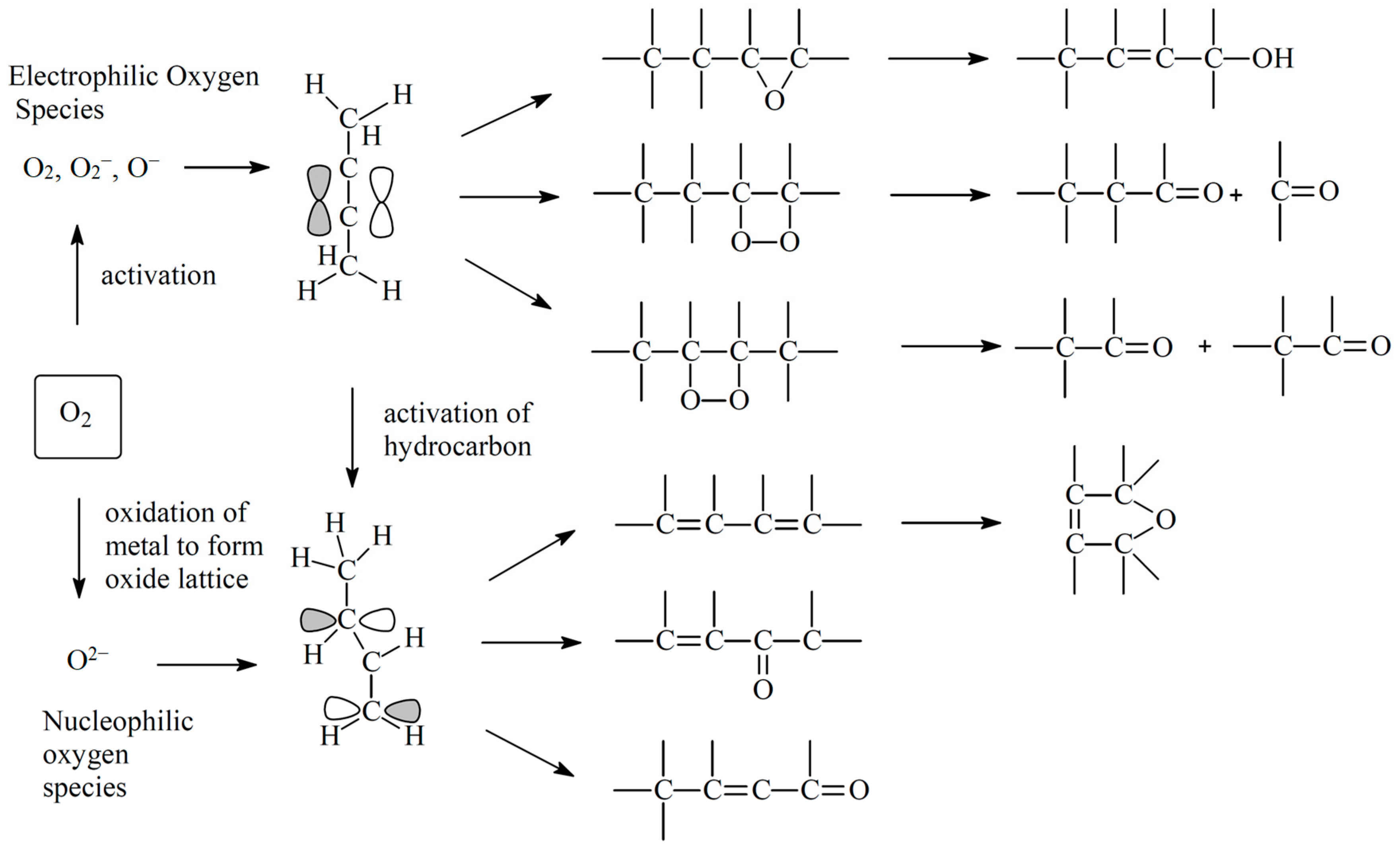 Catalysts 14 00100 g001
