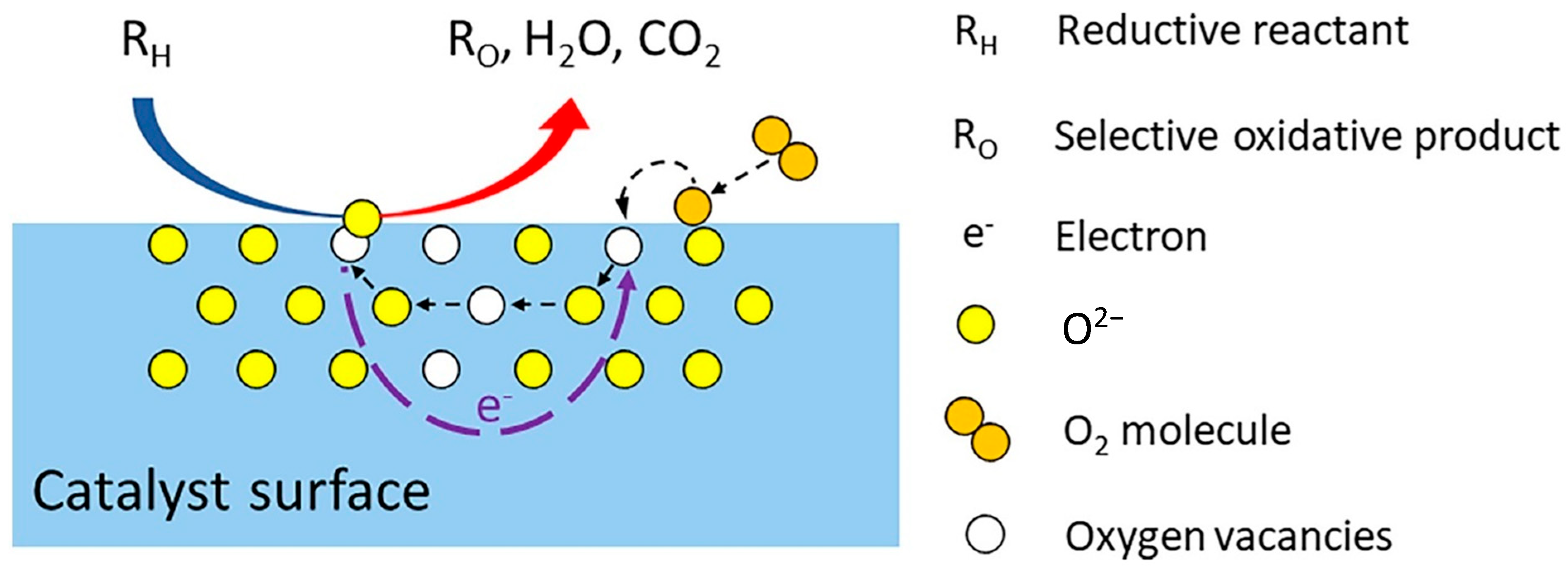 Catalysts 14 00100 g003