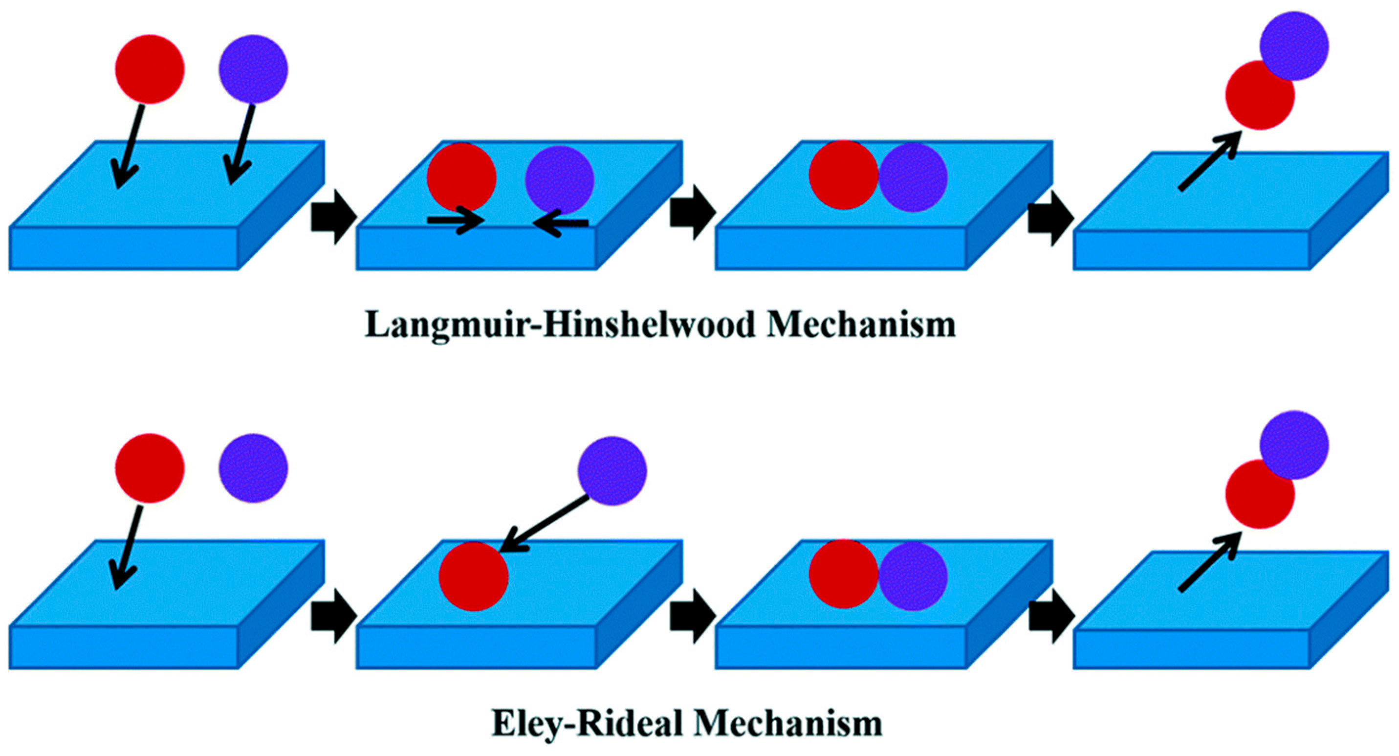 Catalysts 14 00100 g004