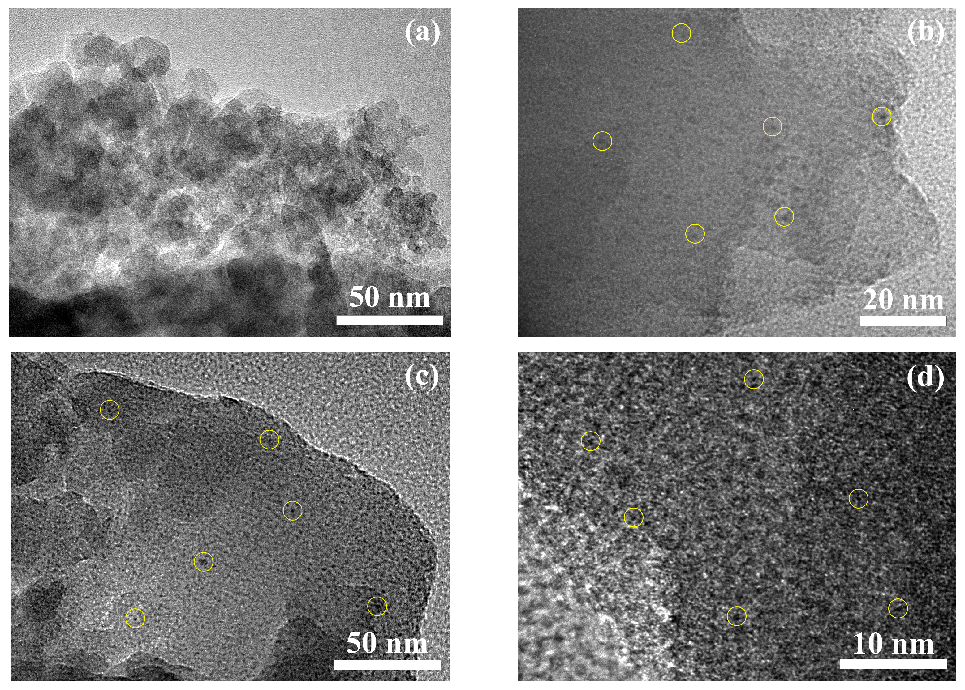 Catalysts 14 00103 g005