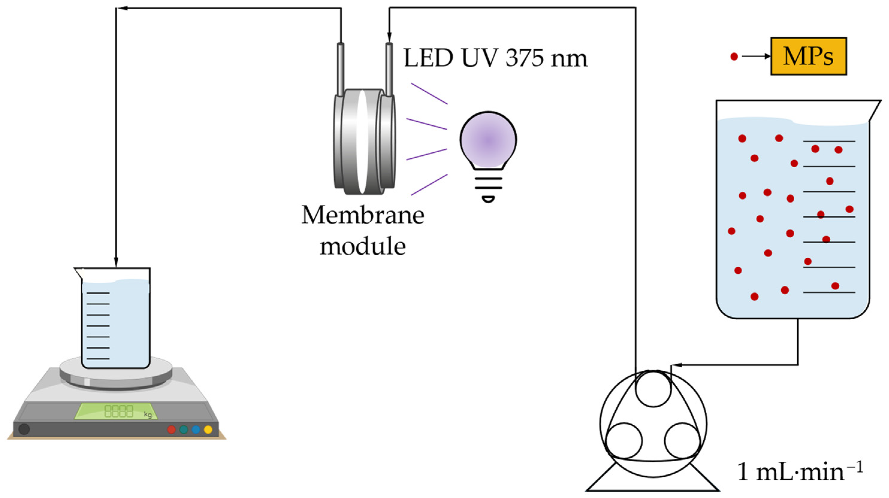 Catalysts 14 00109 g012
