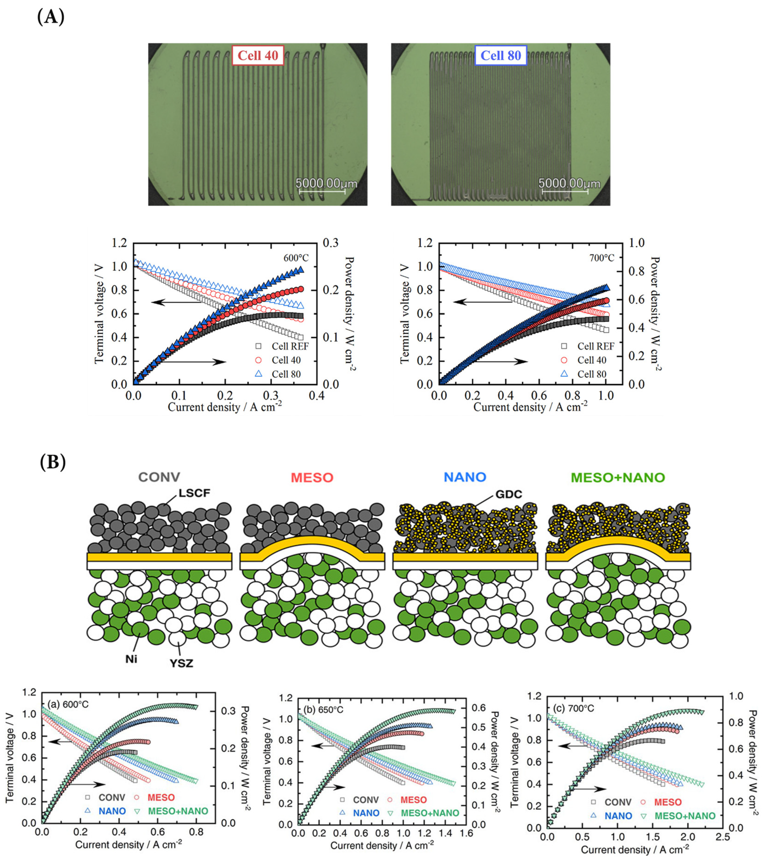 Catalysts 14 00110 g006