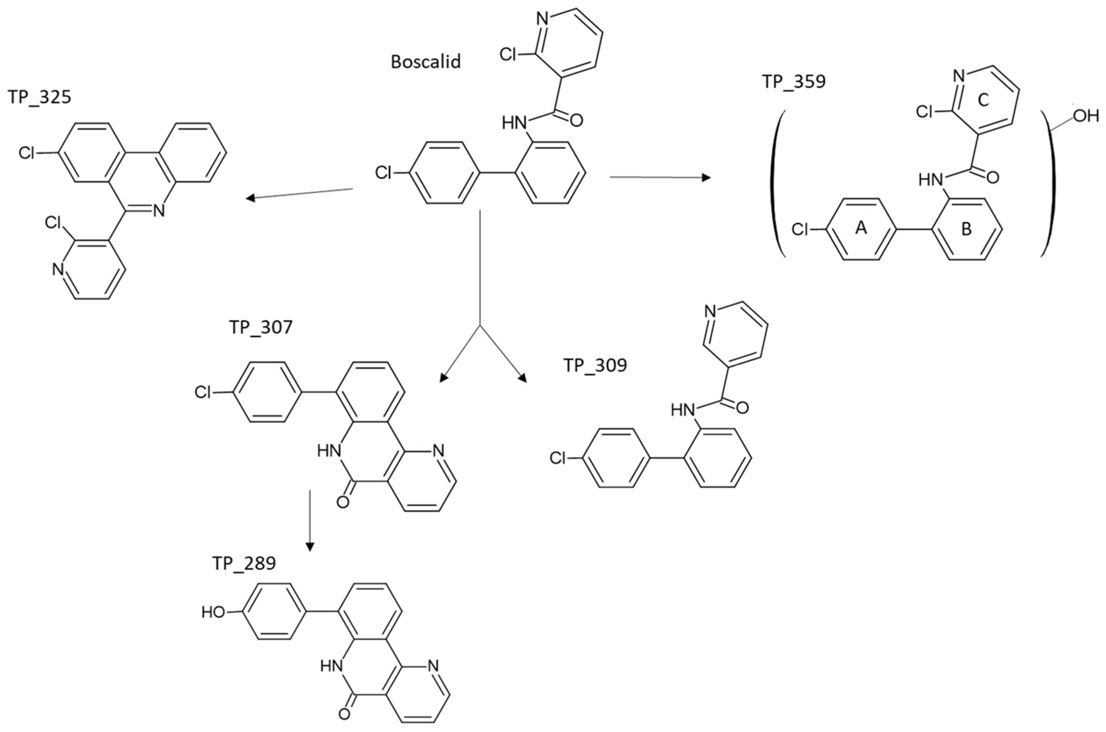 Catalysts 14 00112 g004