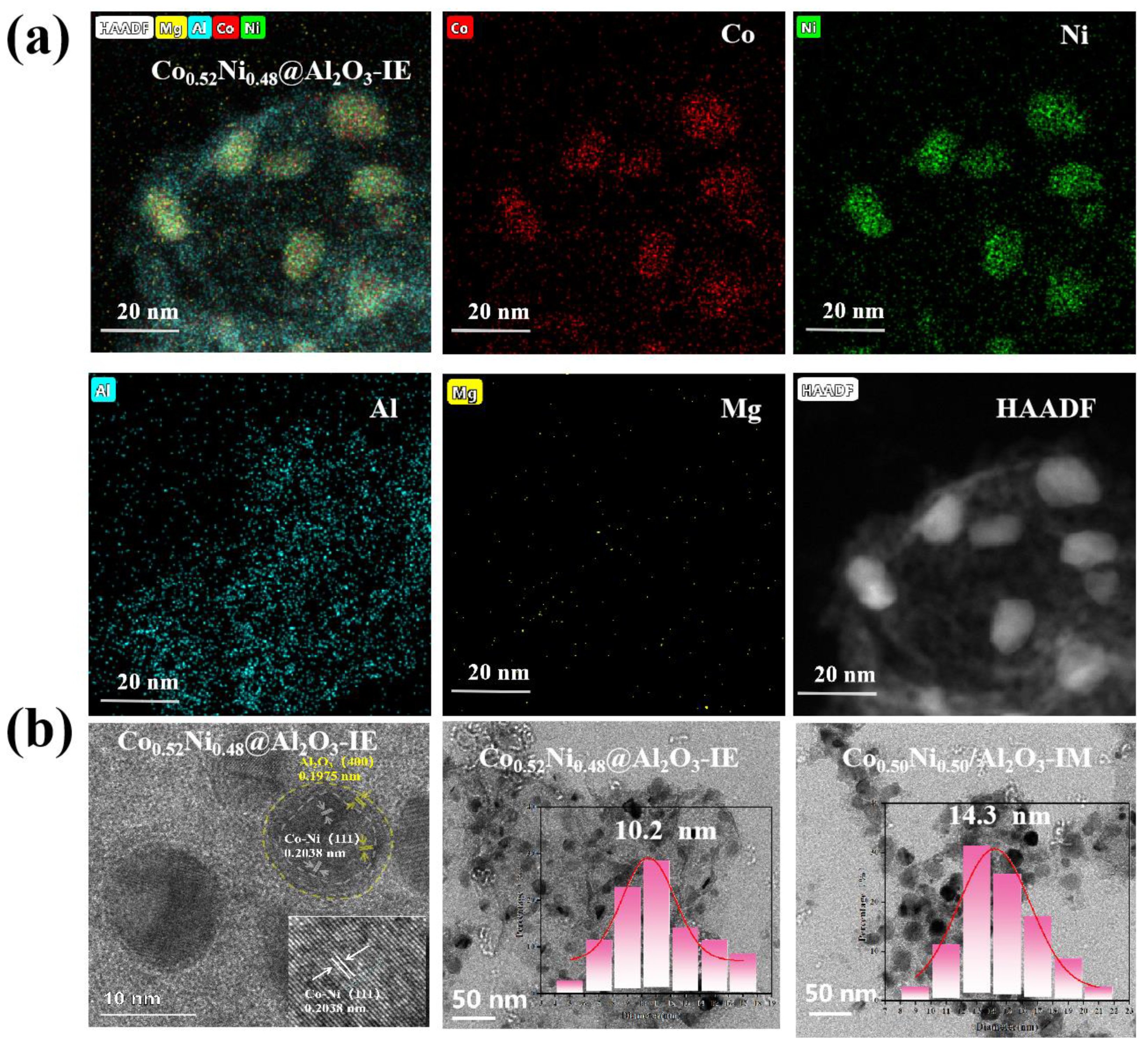 Catalysts 14 00113 g002