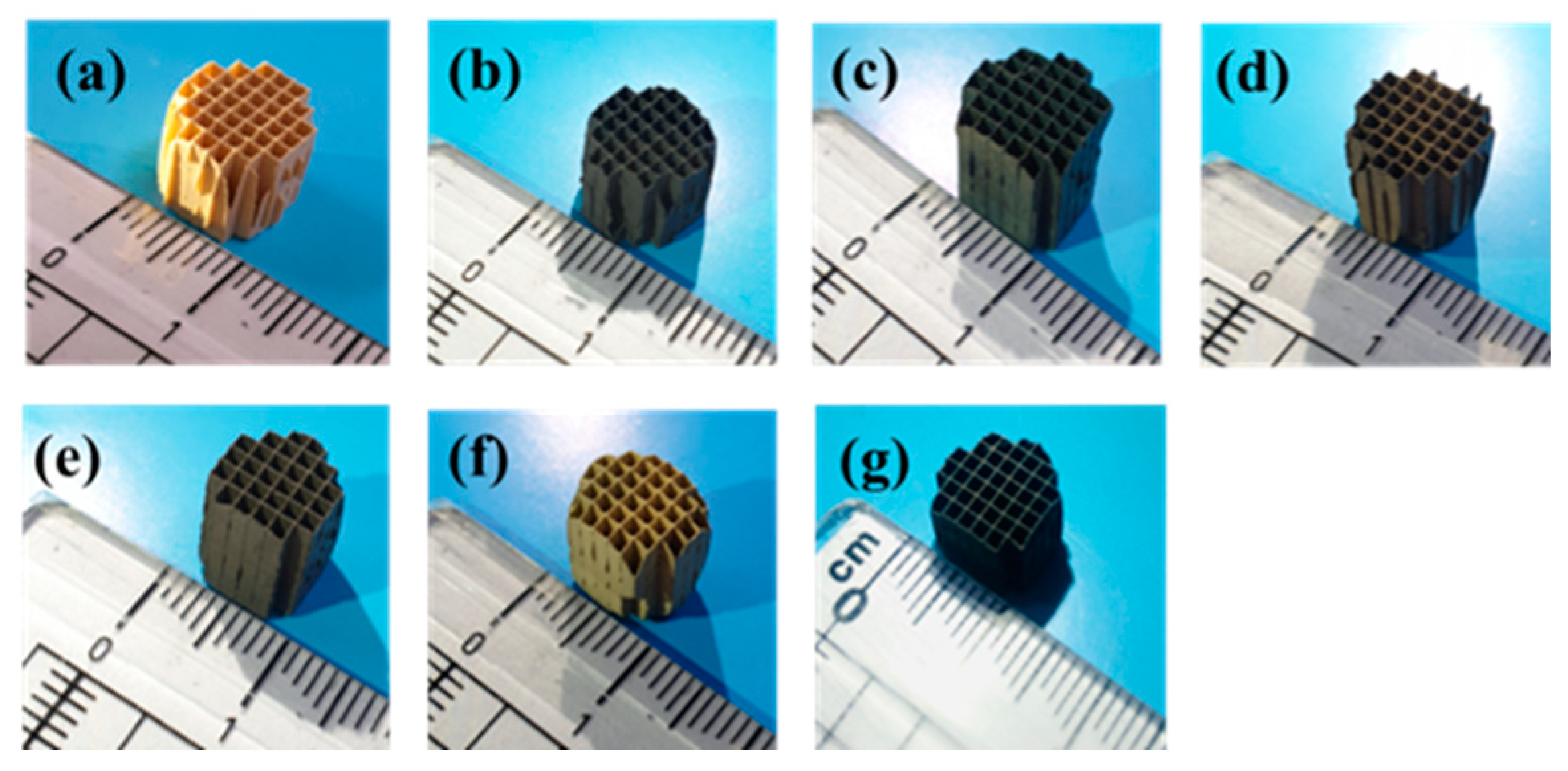 Catalysts 14 00116 g016