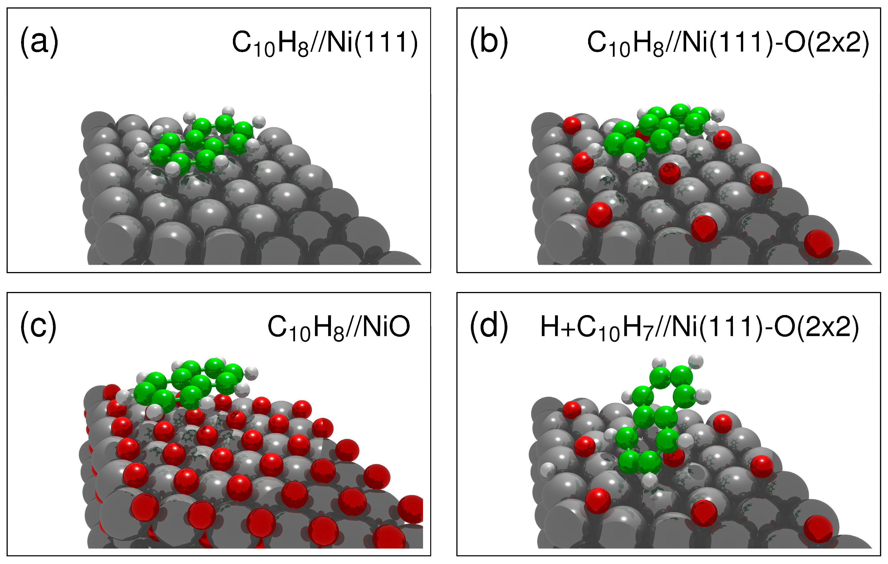 Catalysts 14 00124 g001