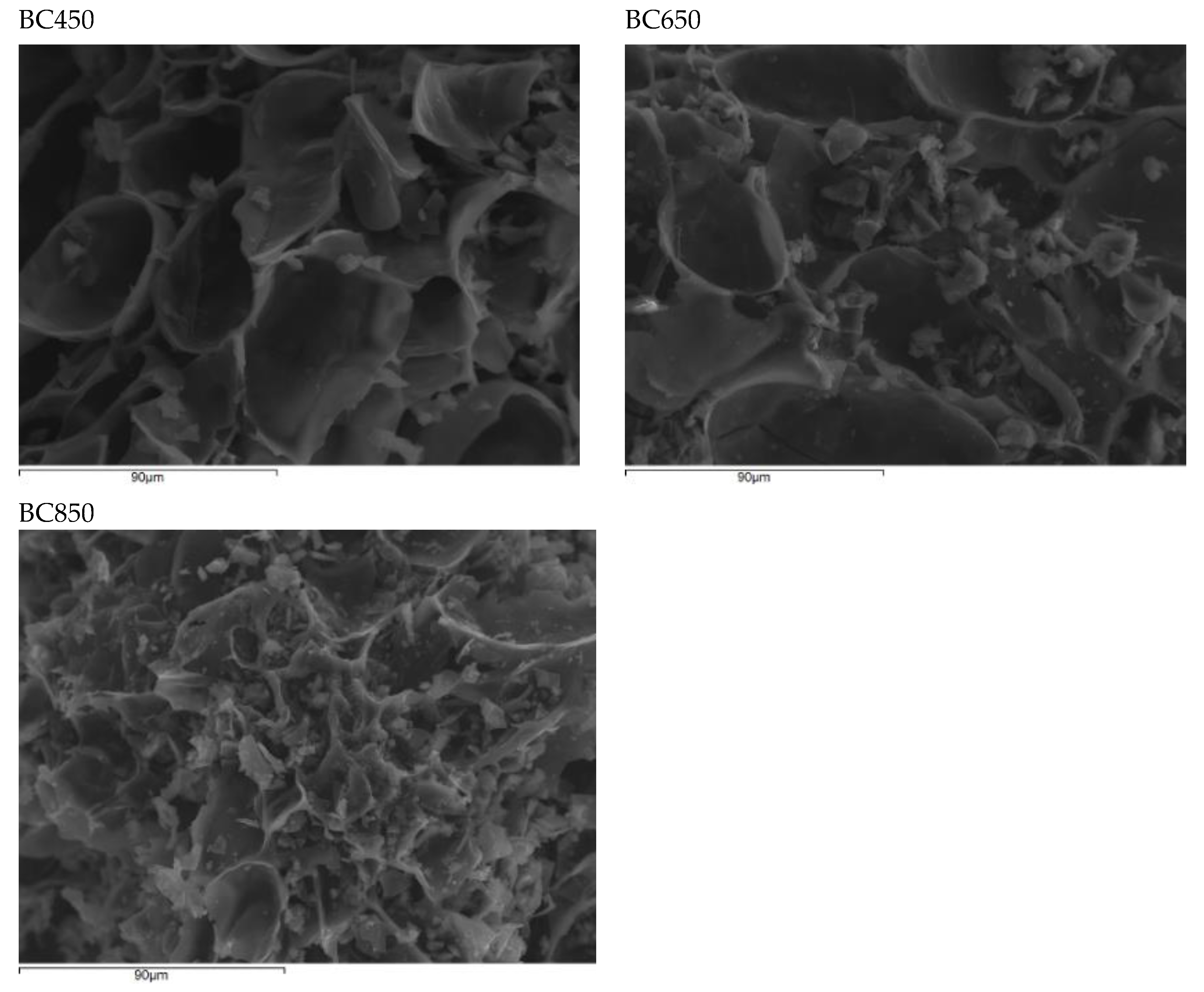 Catalysts 14 00127 g002