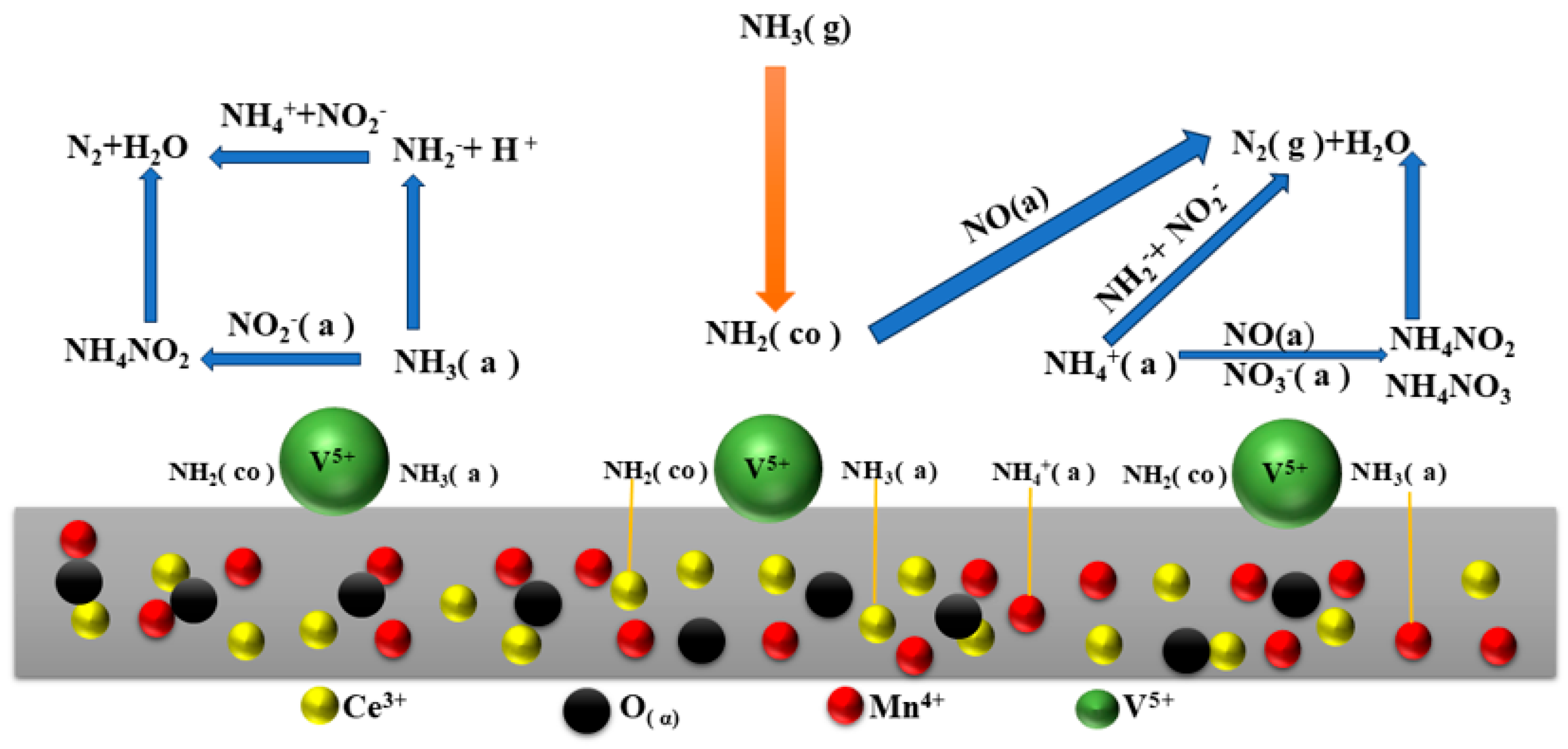 Catalysts 14 00131 g013
