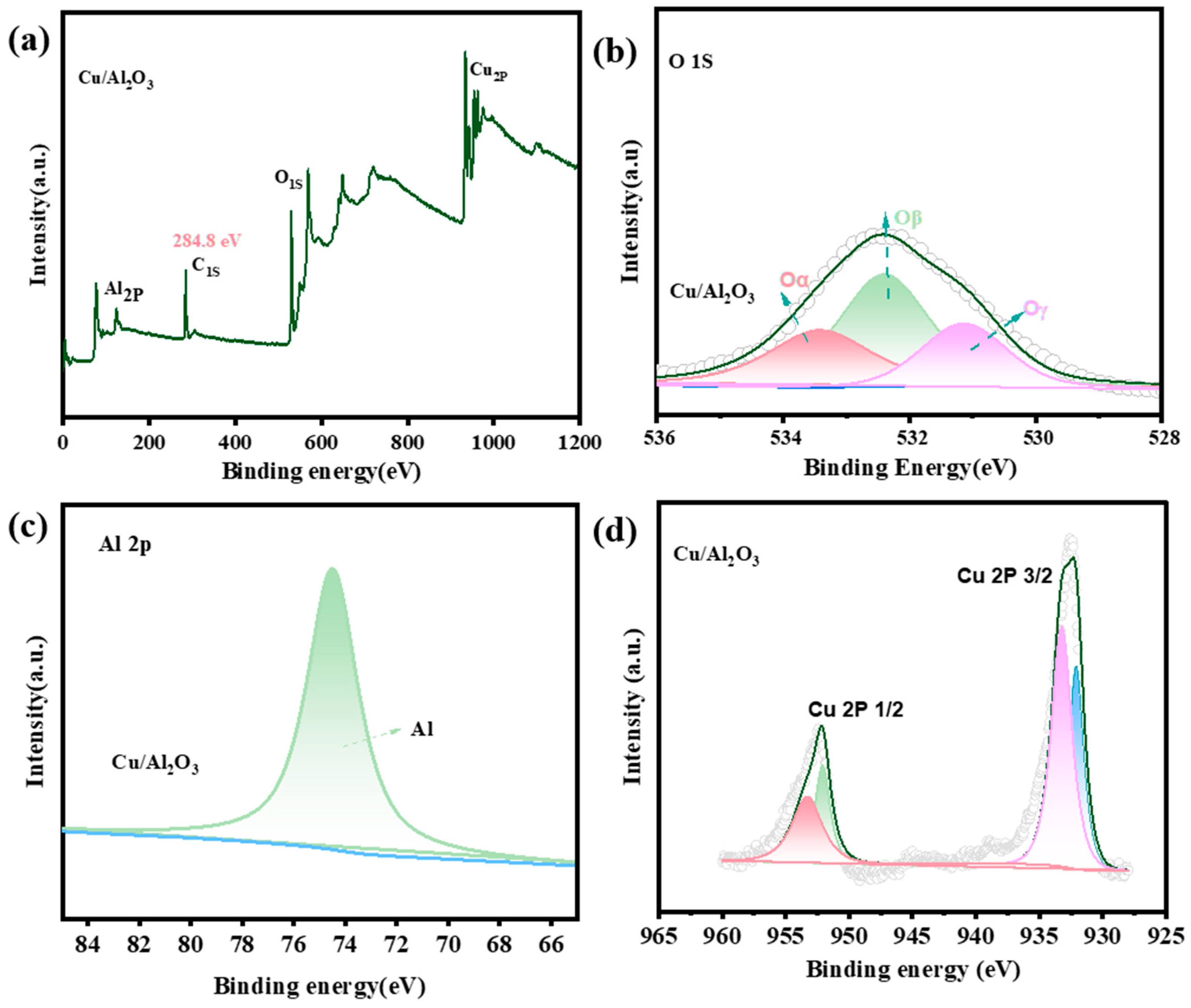 Catalysts 14 00132 g004