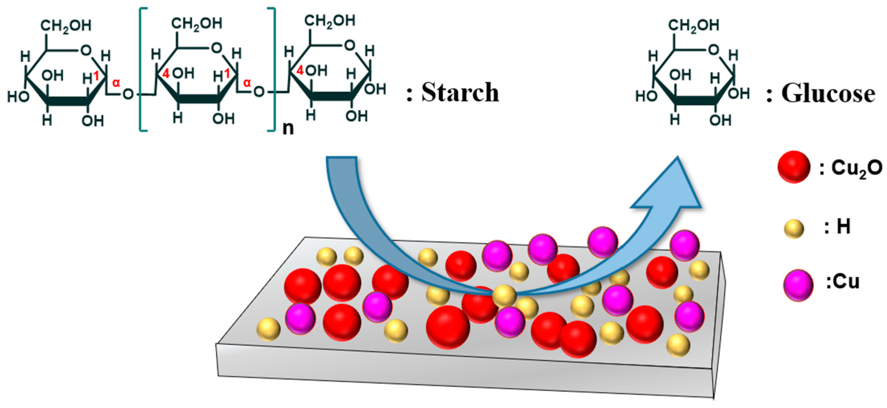 Catalysts 14 00132 sch001