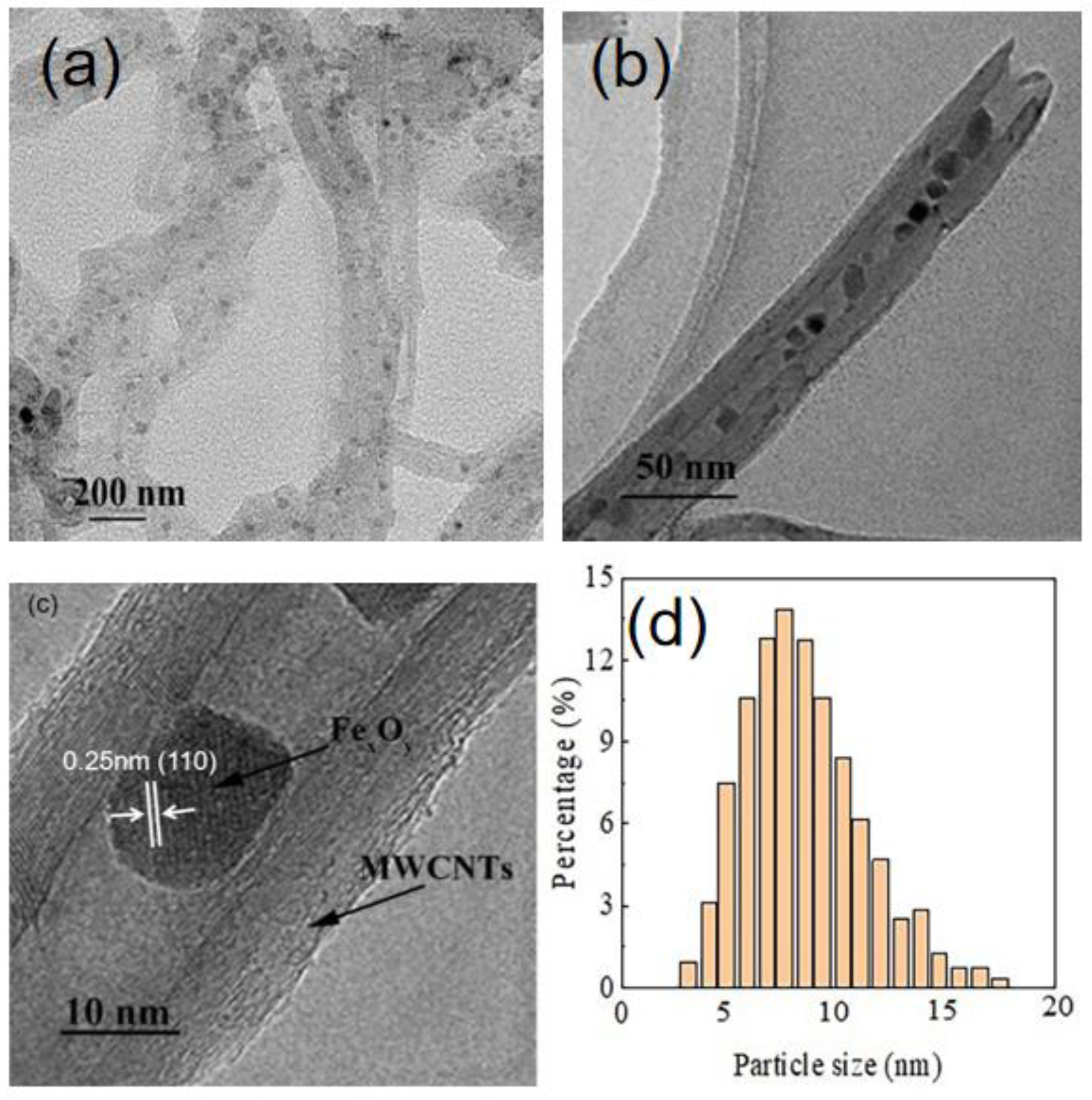 Catalysts 14 00134 g001