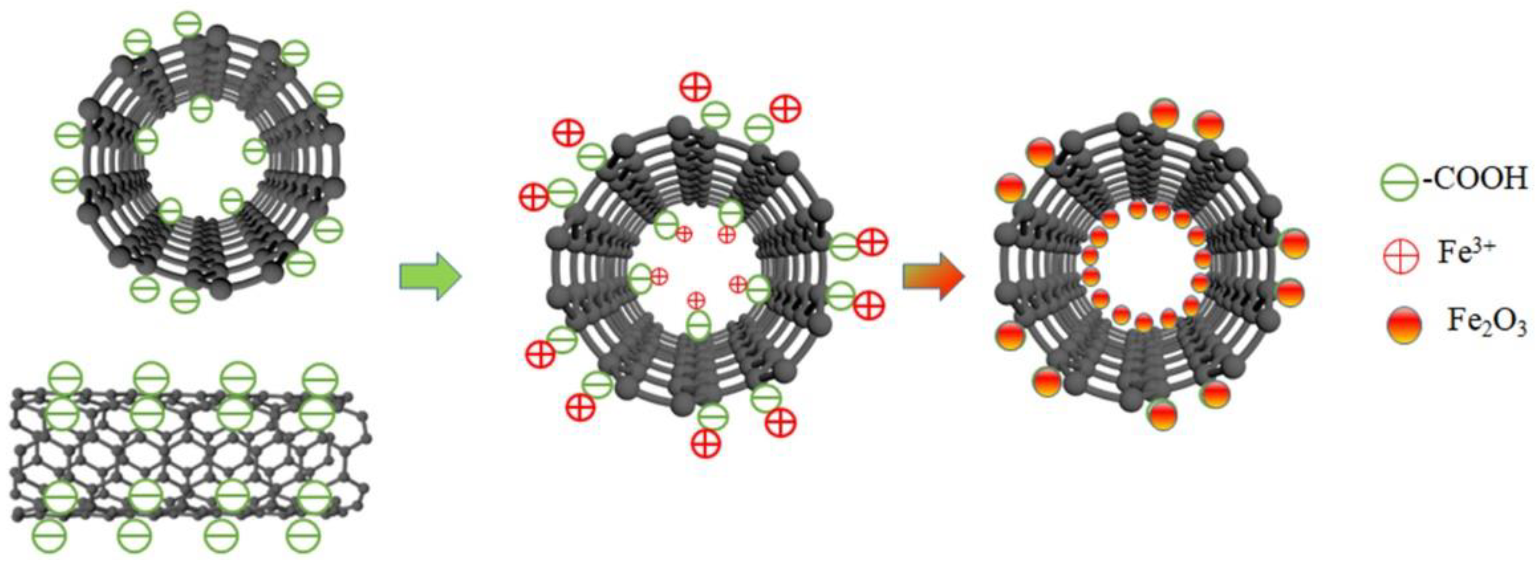 Catalysts 14 00134 g005