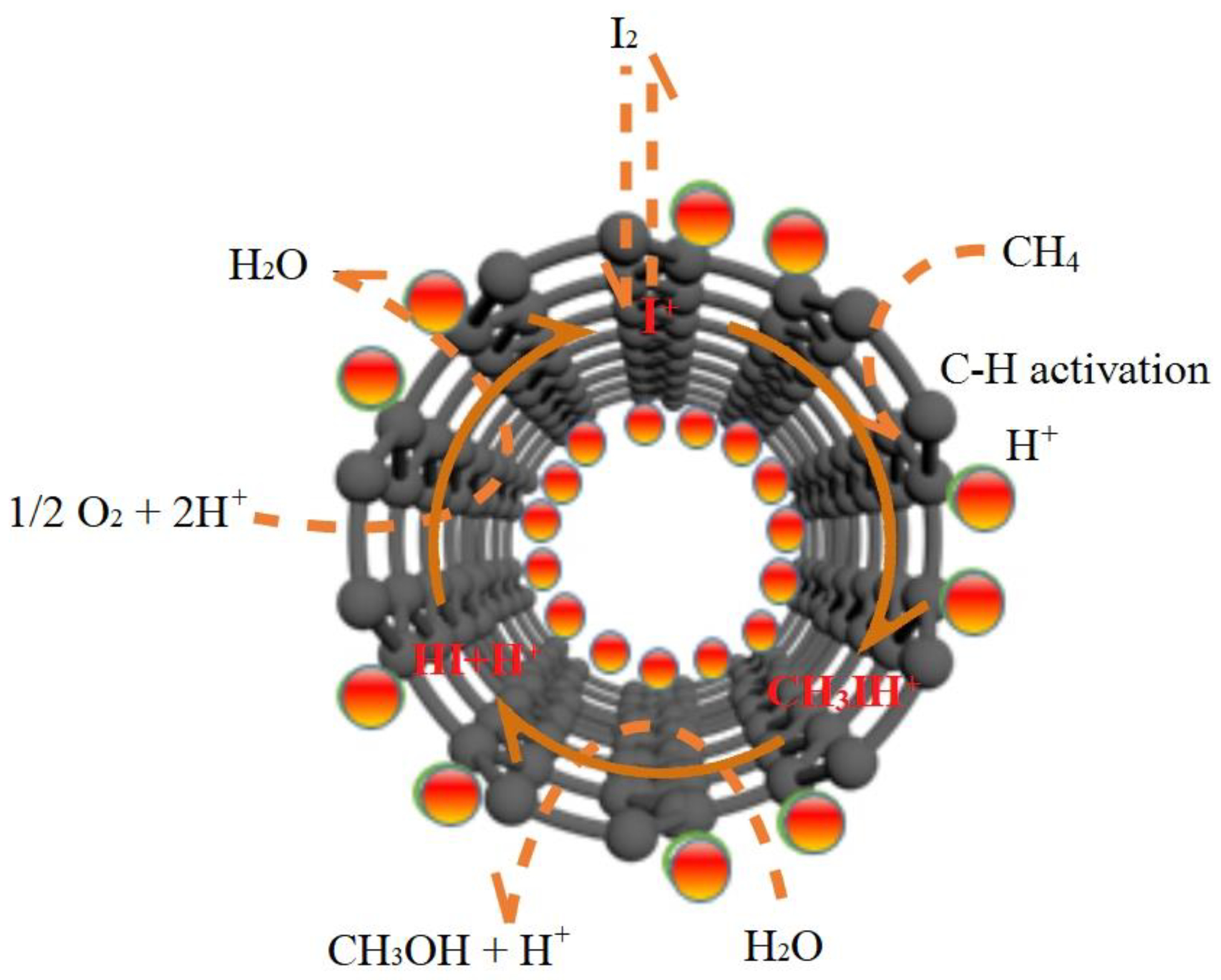 Catalysts 14 00134 g009