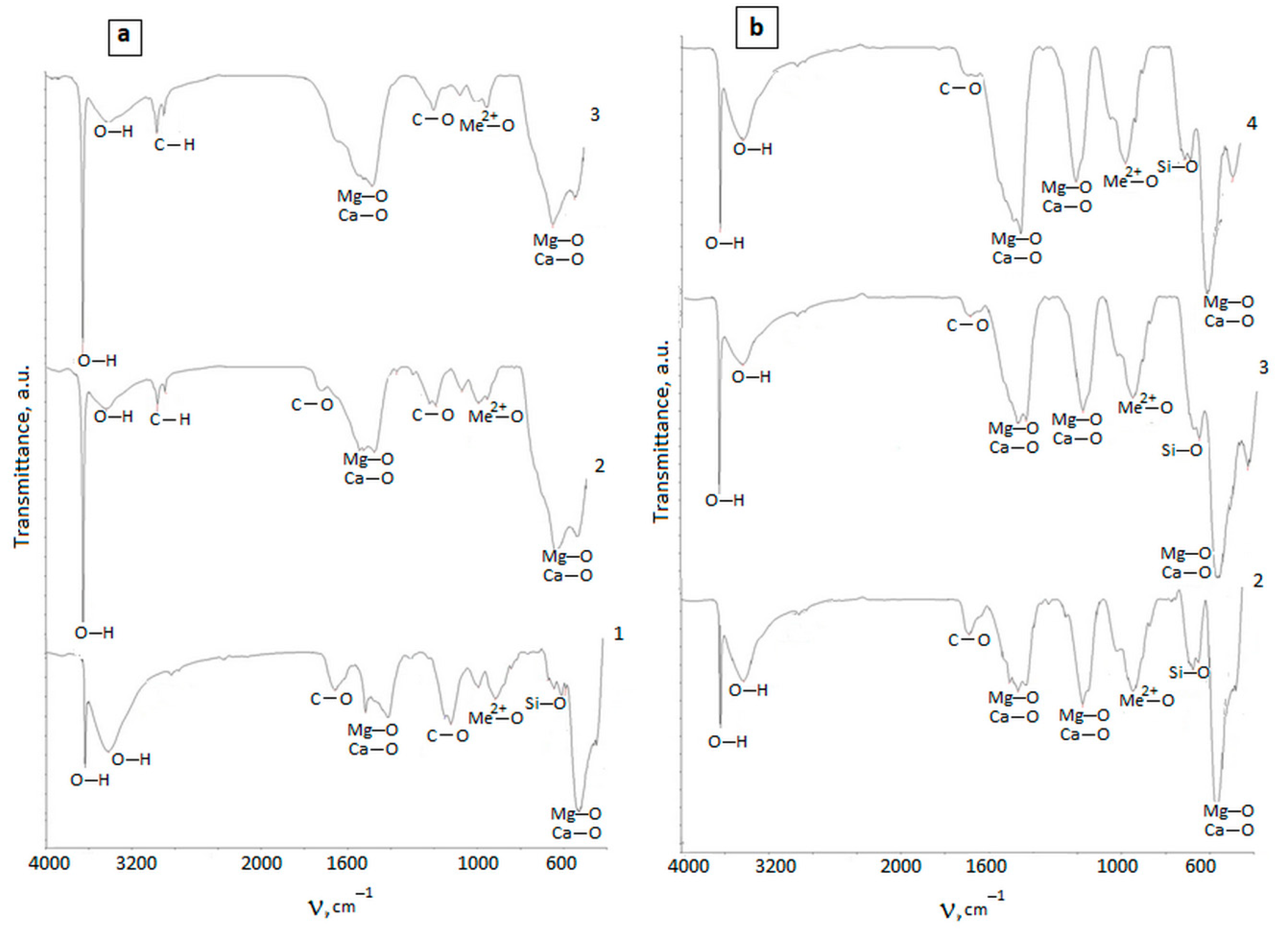 Catalysts 14 00139 g002