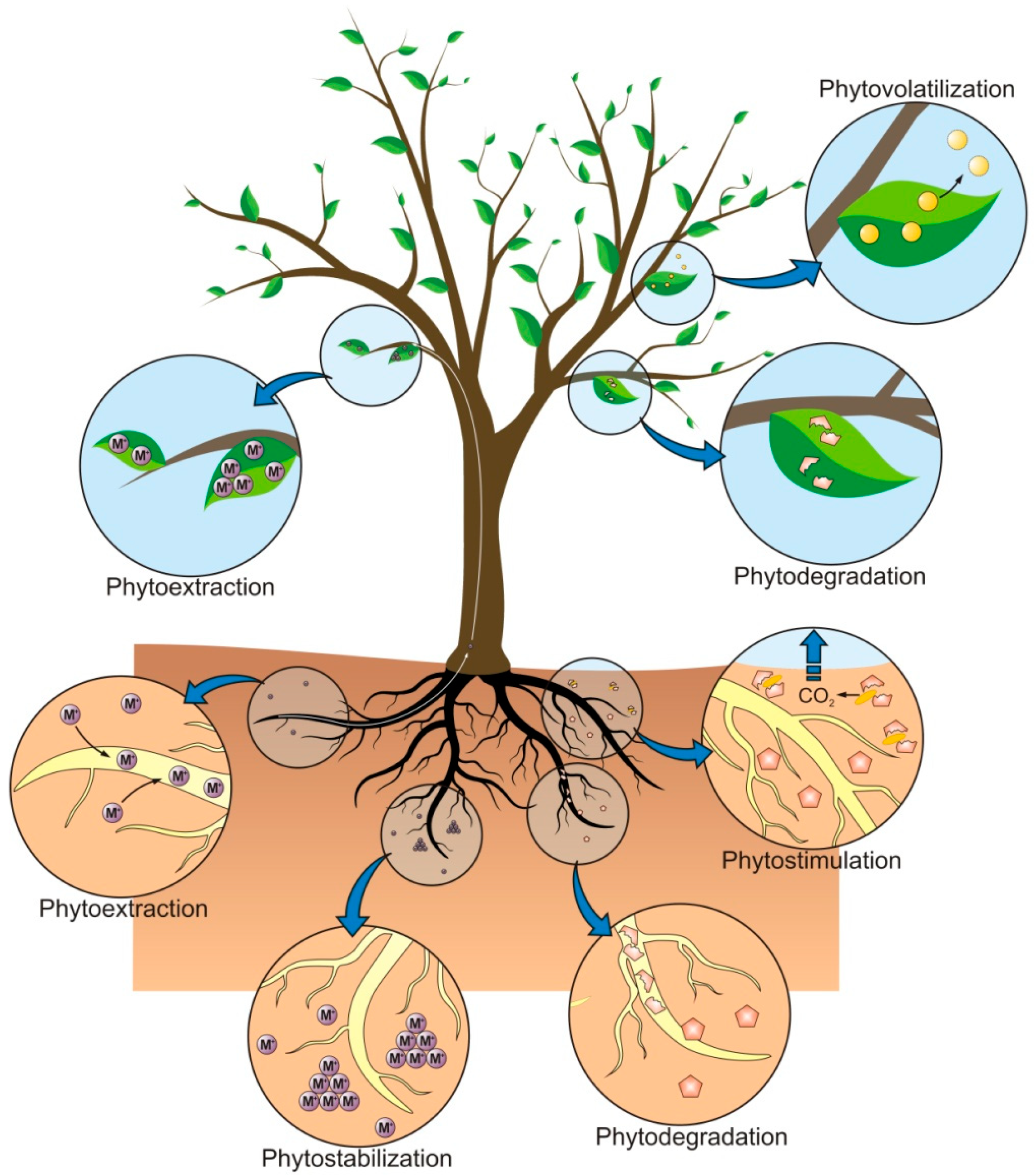 Catalysts 14 00141 g005