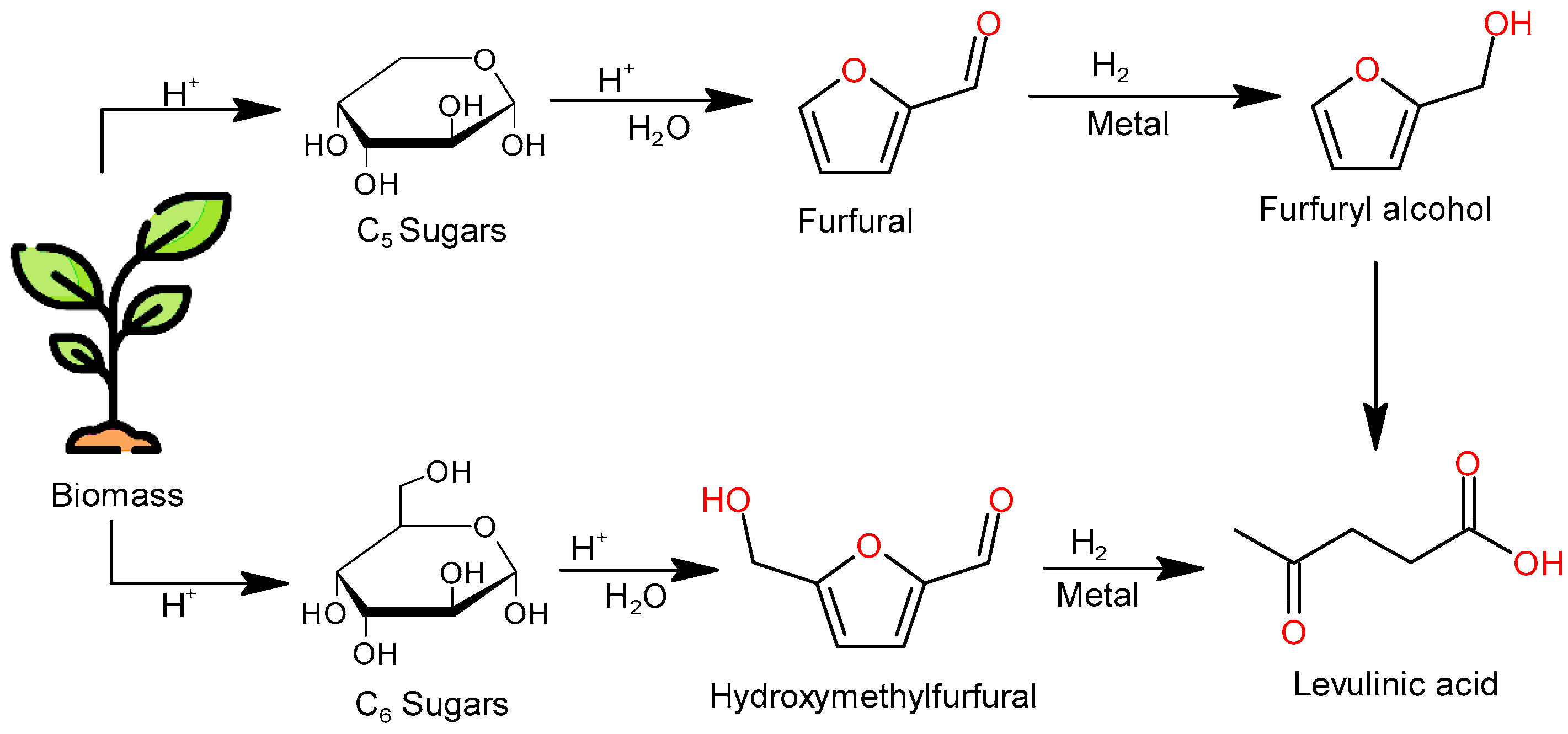 Catalysts 14 00141 sch001
