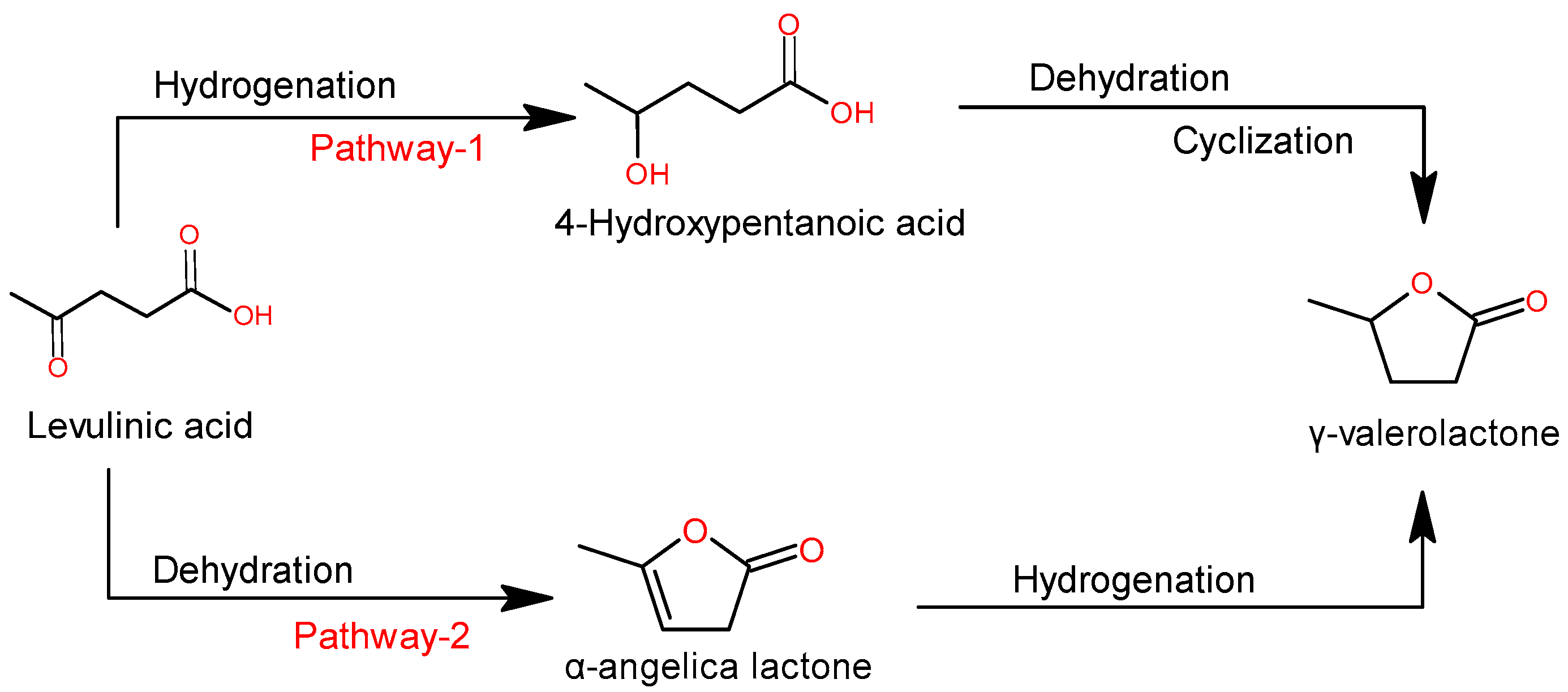 Catalysts 14 00141 sch002