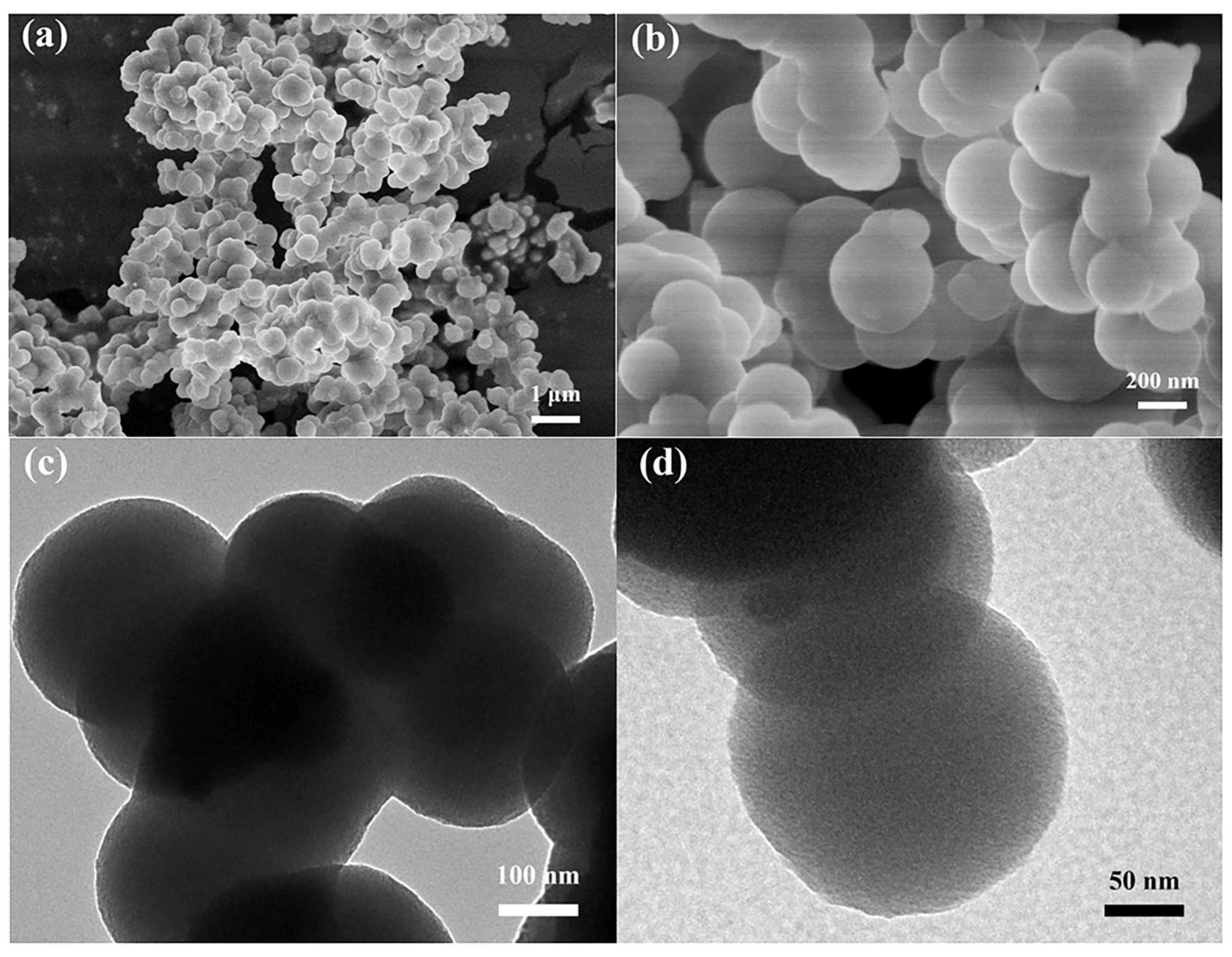 Catalysts 14 00142 g004 Catalysts 14 00142 g004