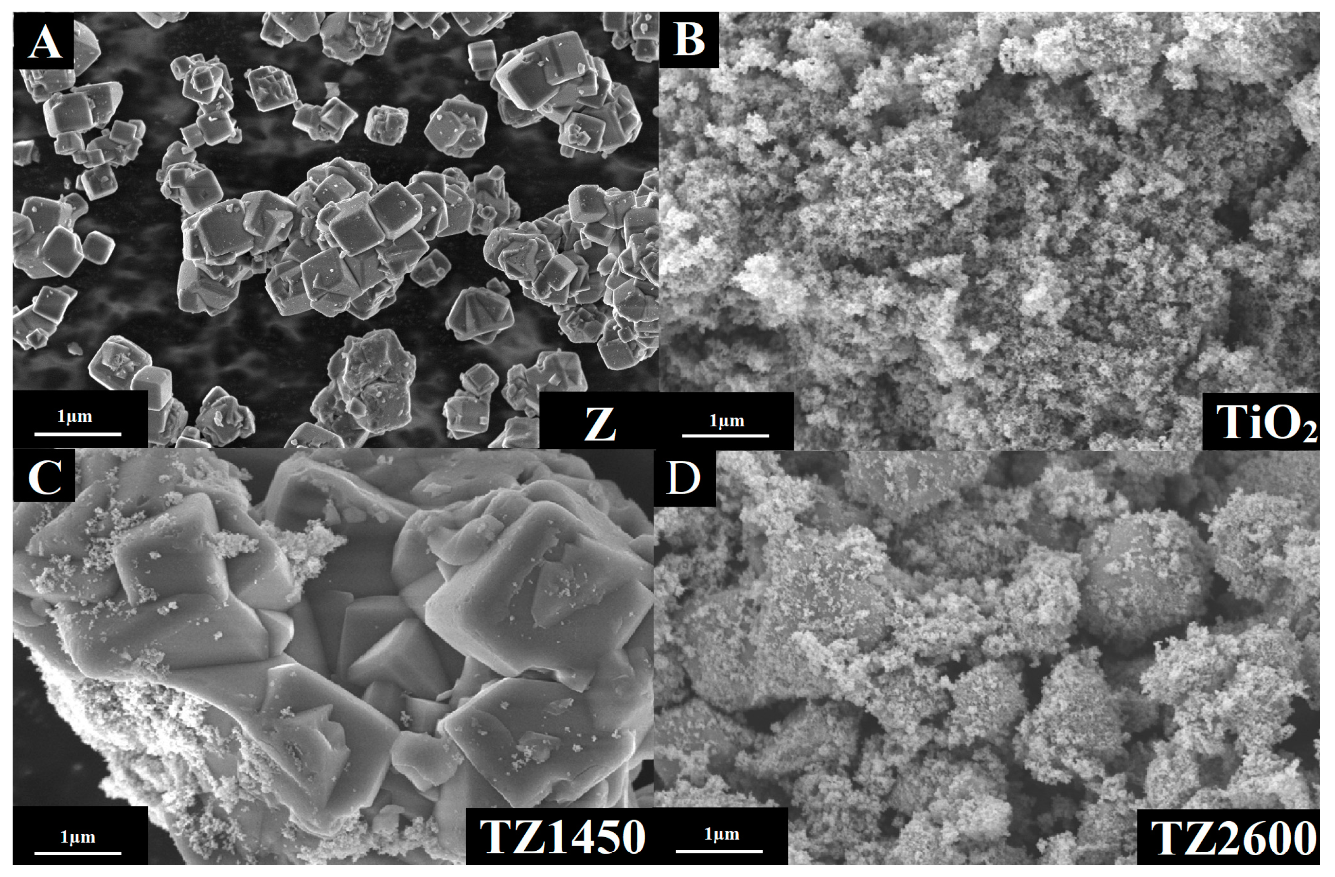 Catalysts 14 00147 g003