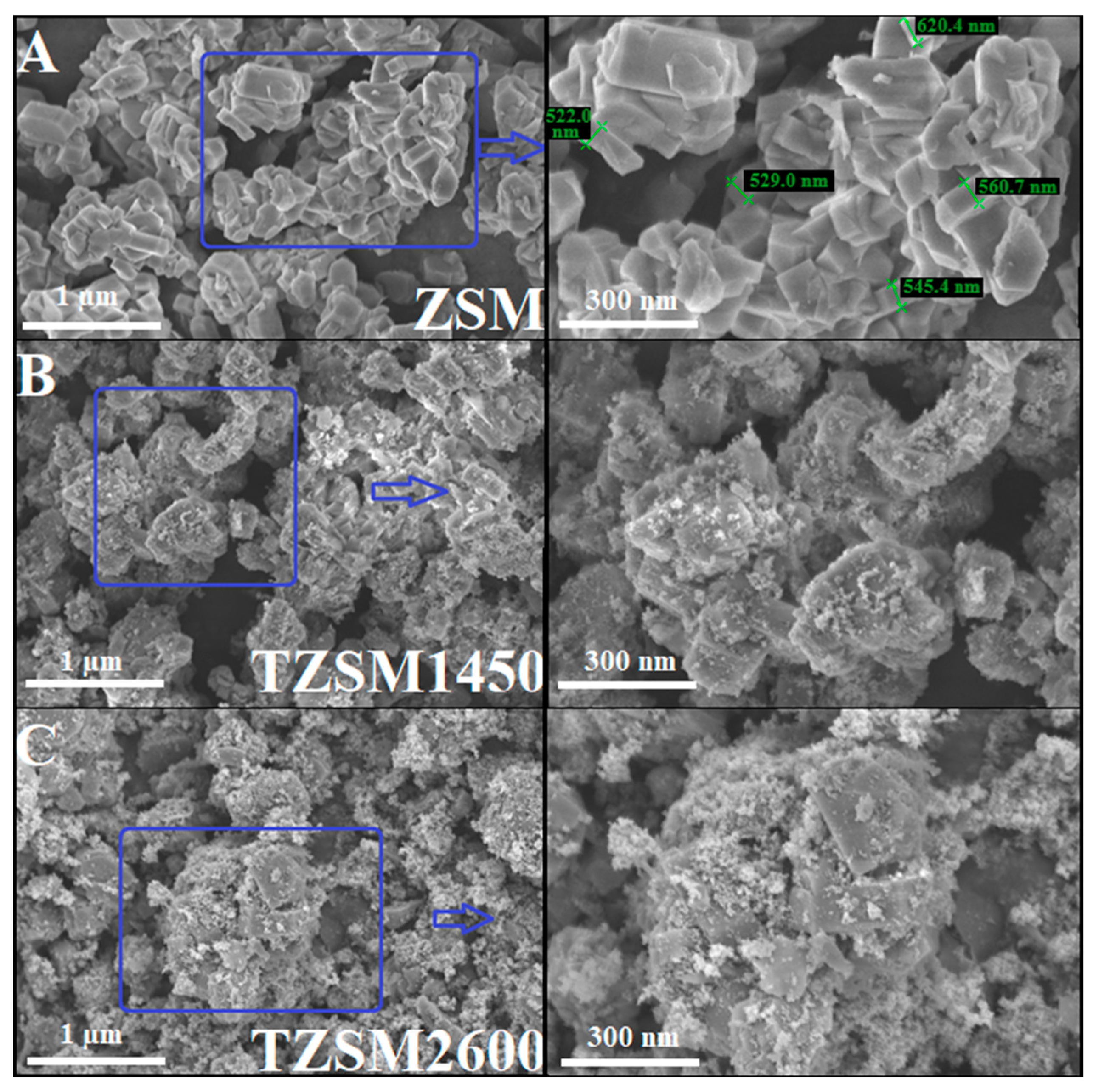 Catalysts 14 00147 g004