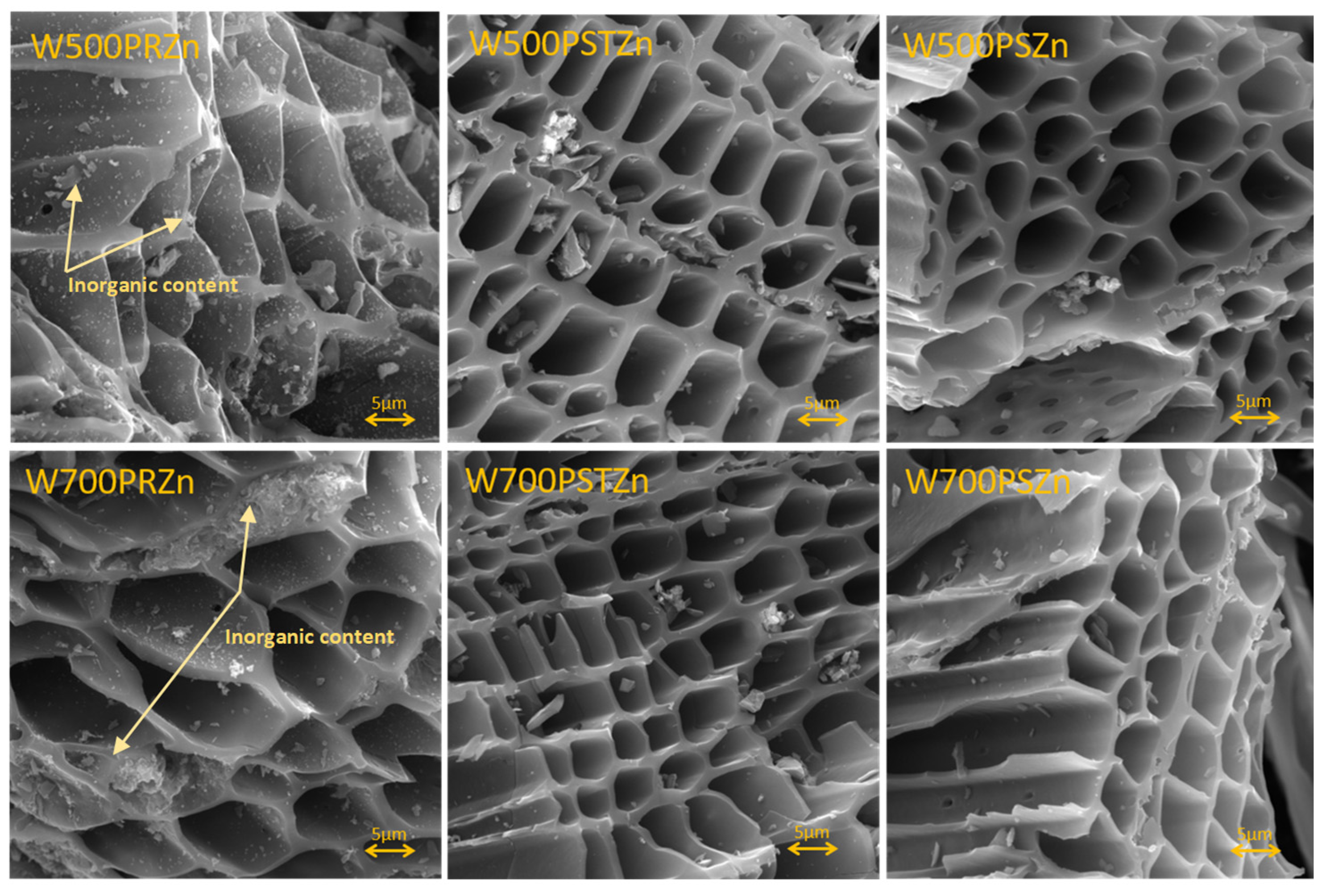 Catalysts 14 00155 g004