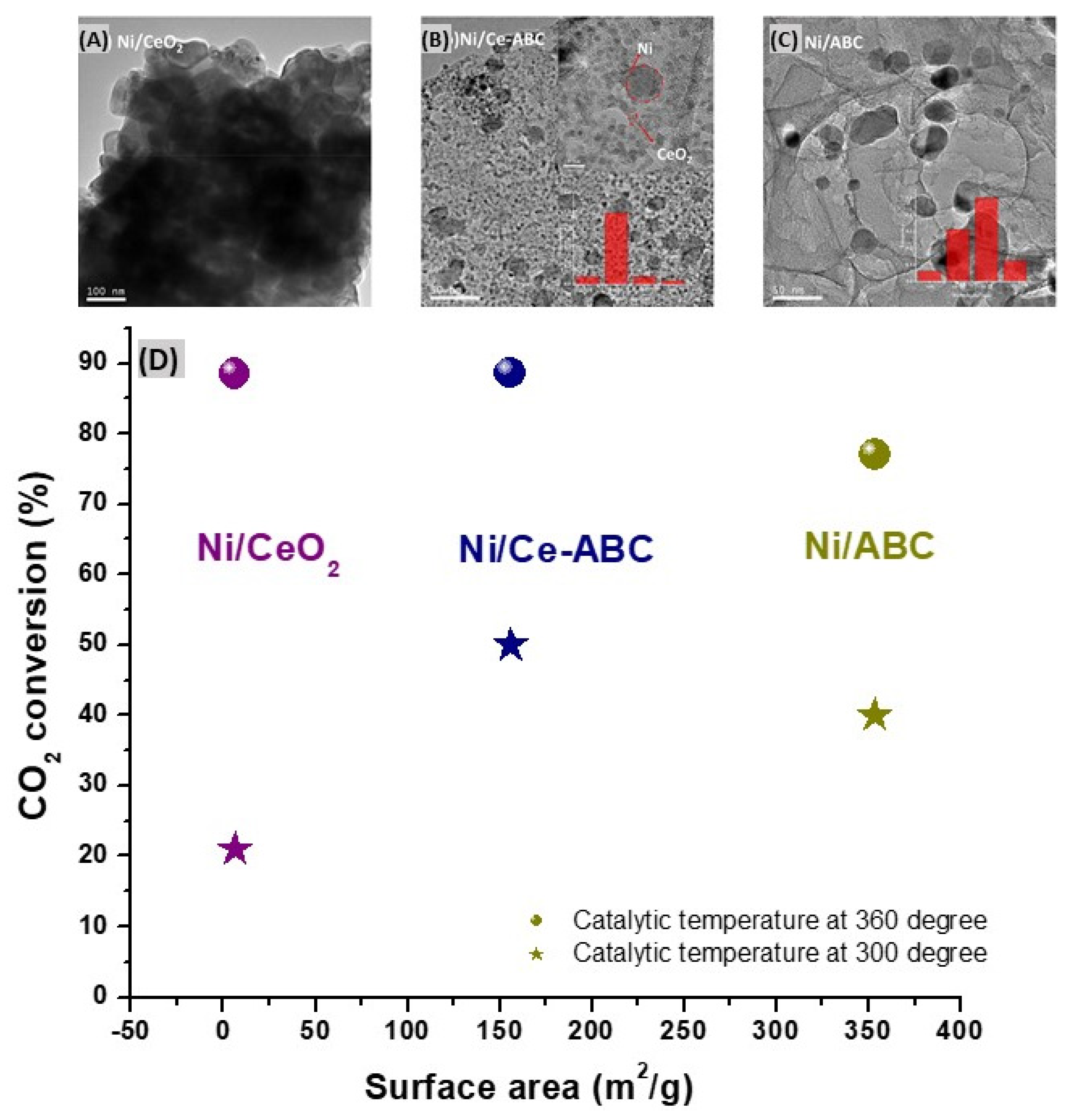 Catalysts 14 00155 g006