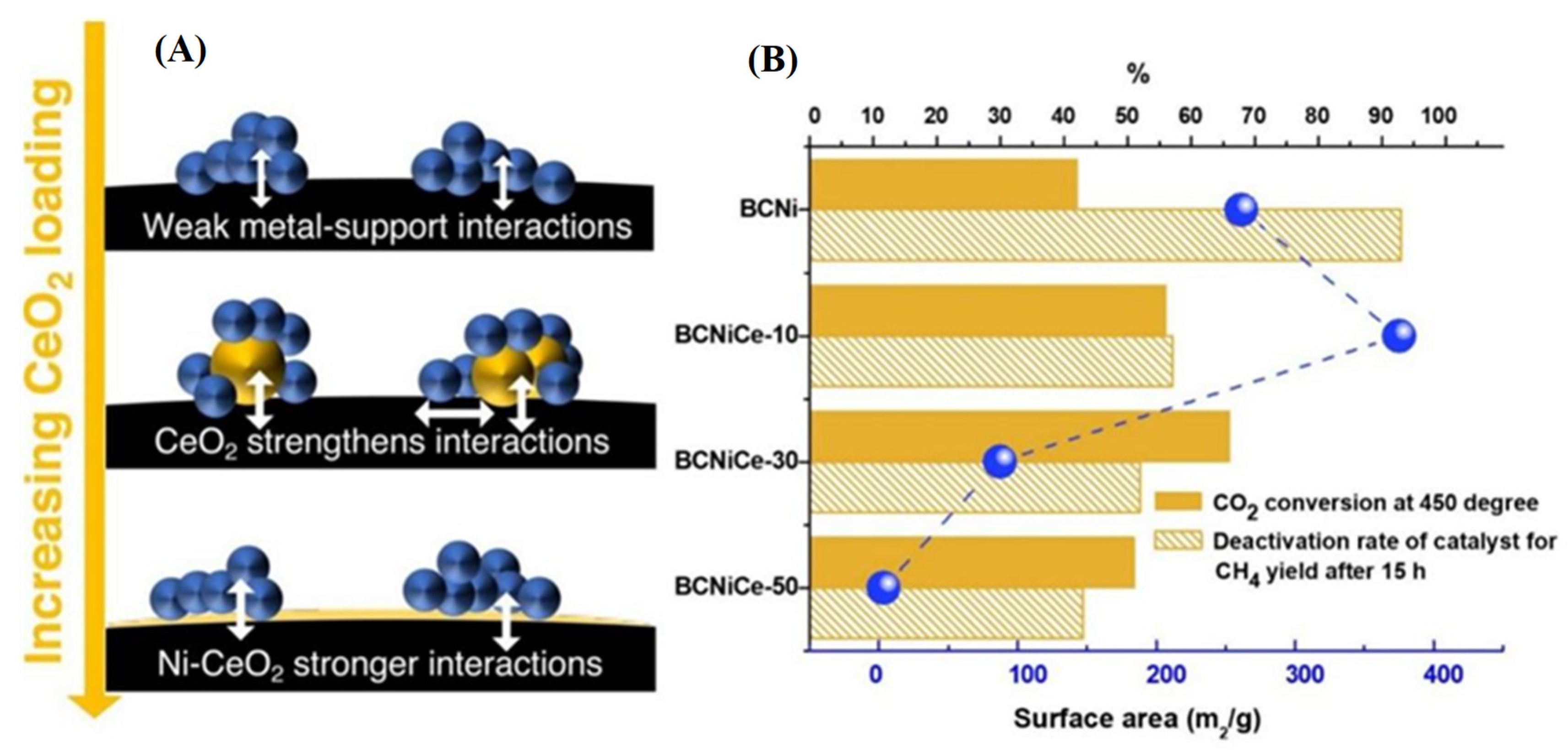 Catalysts 14 00155 g007