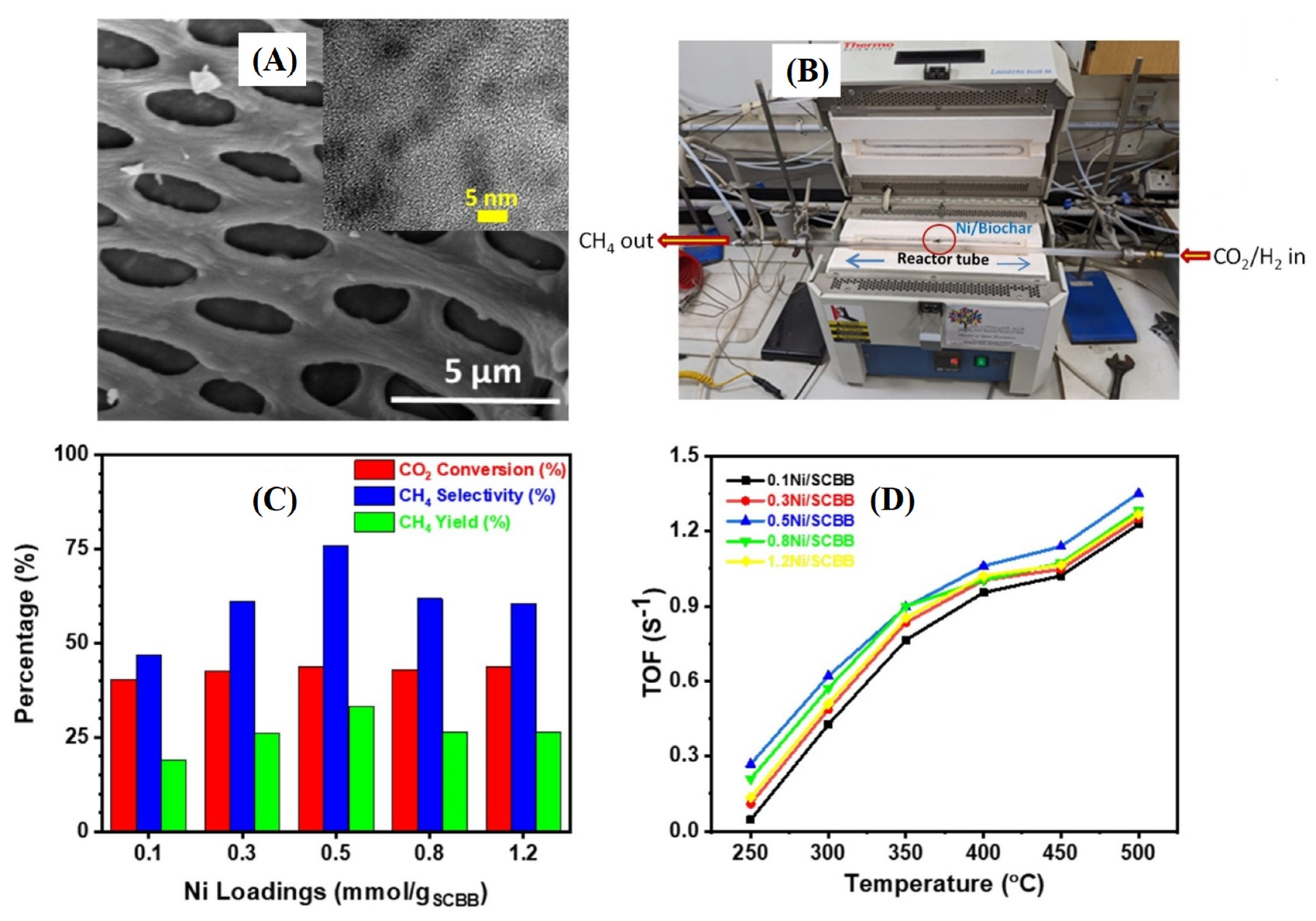 Catalysts 14 00155 g008