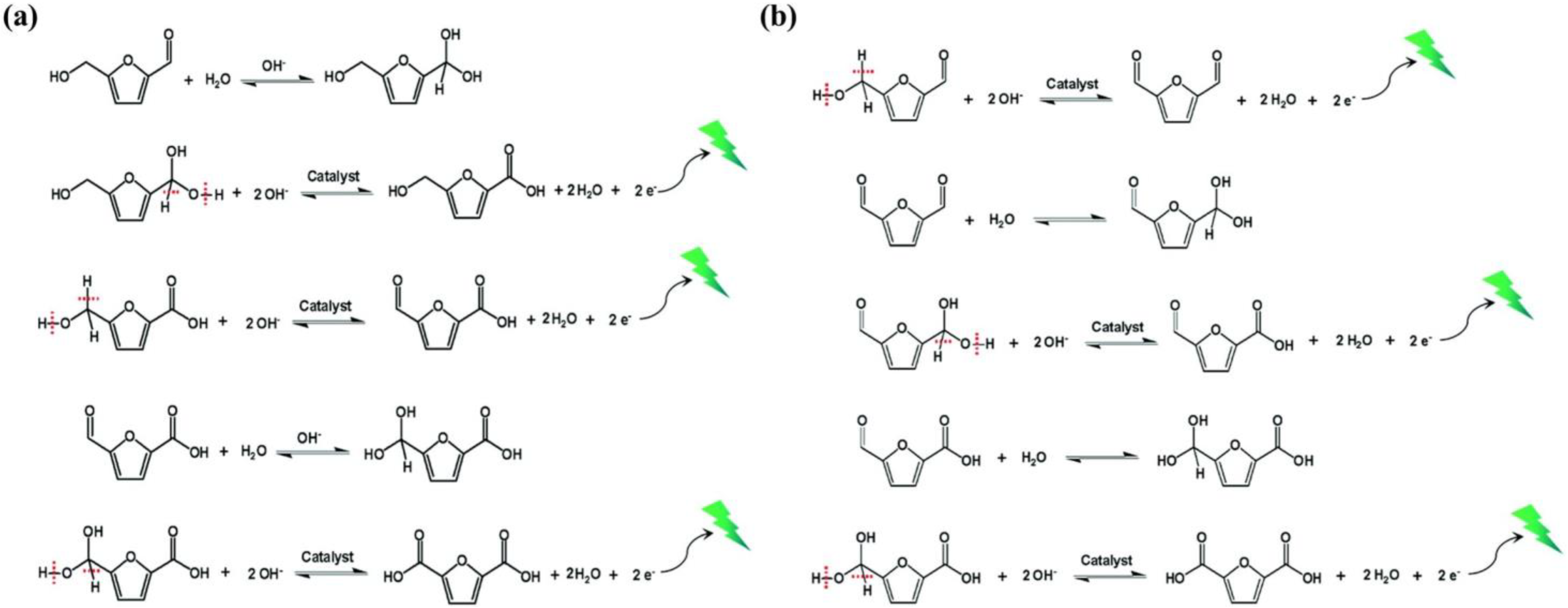 Catalysts 14 00157 g002