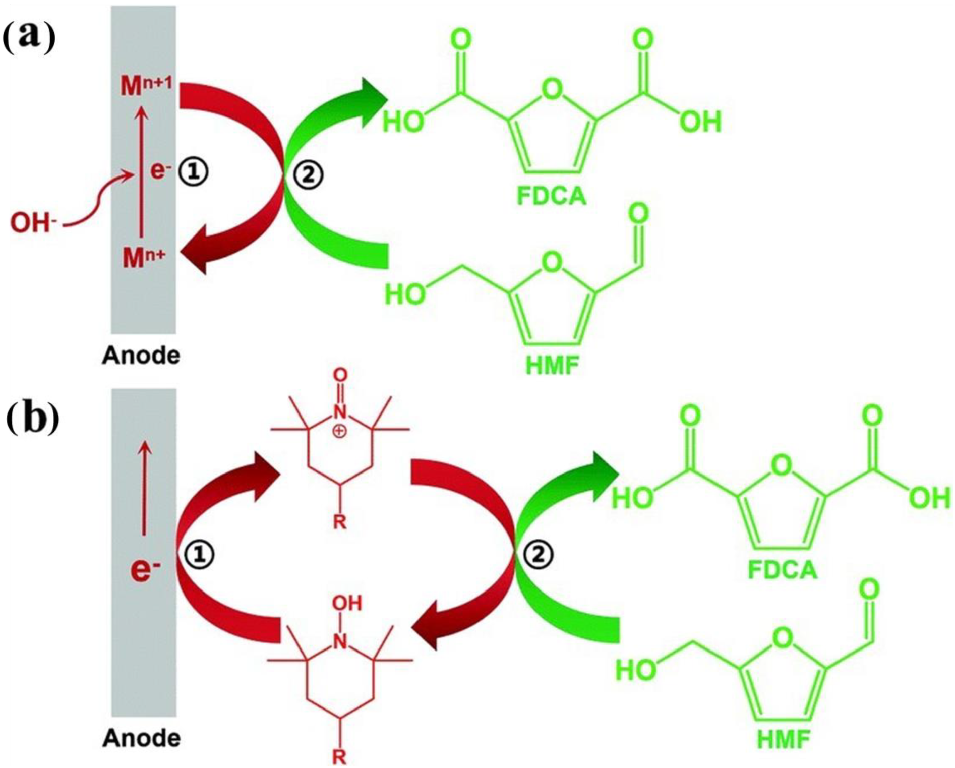 Catalysts 14 00157 g003