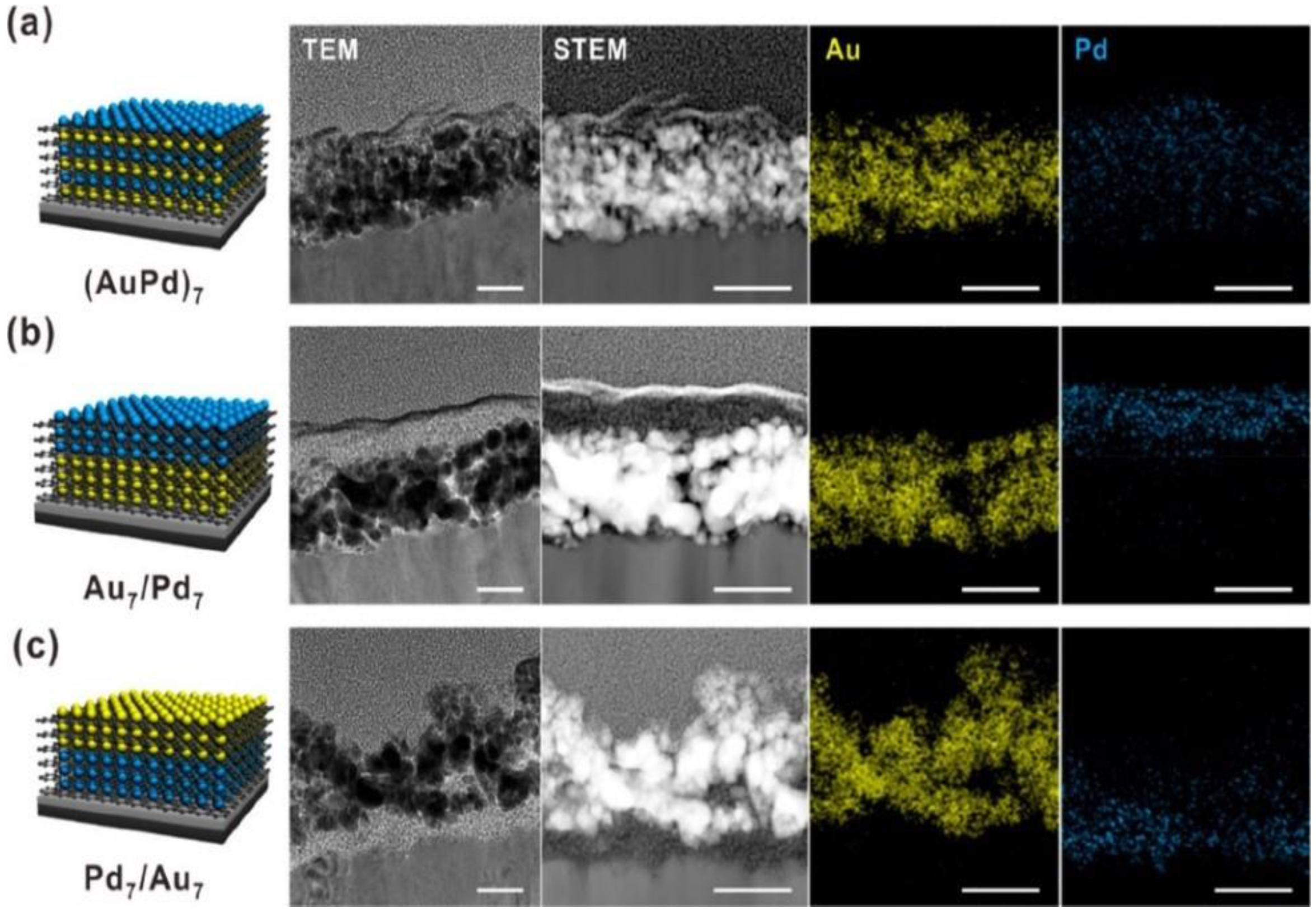 Catalysts 14 00157 g004