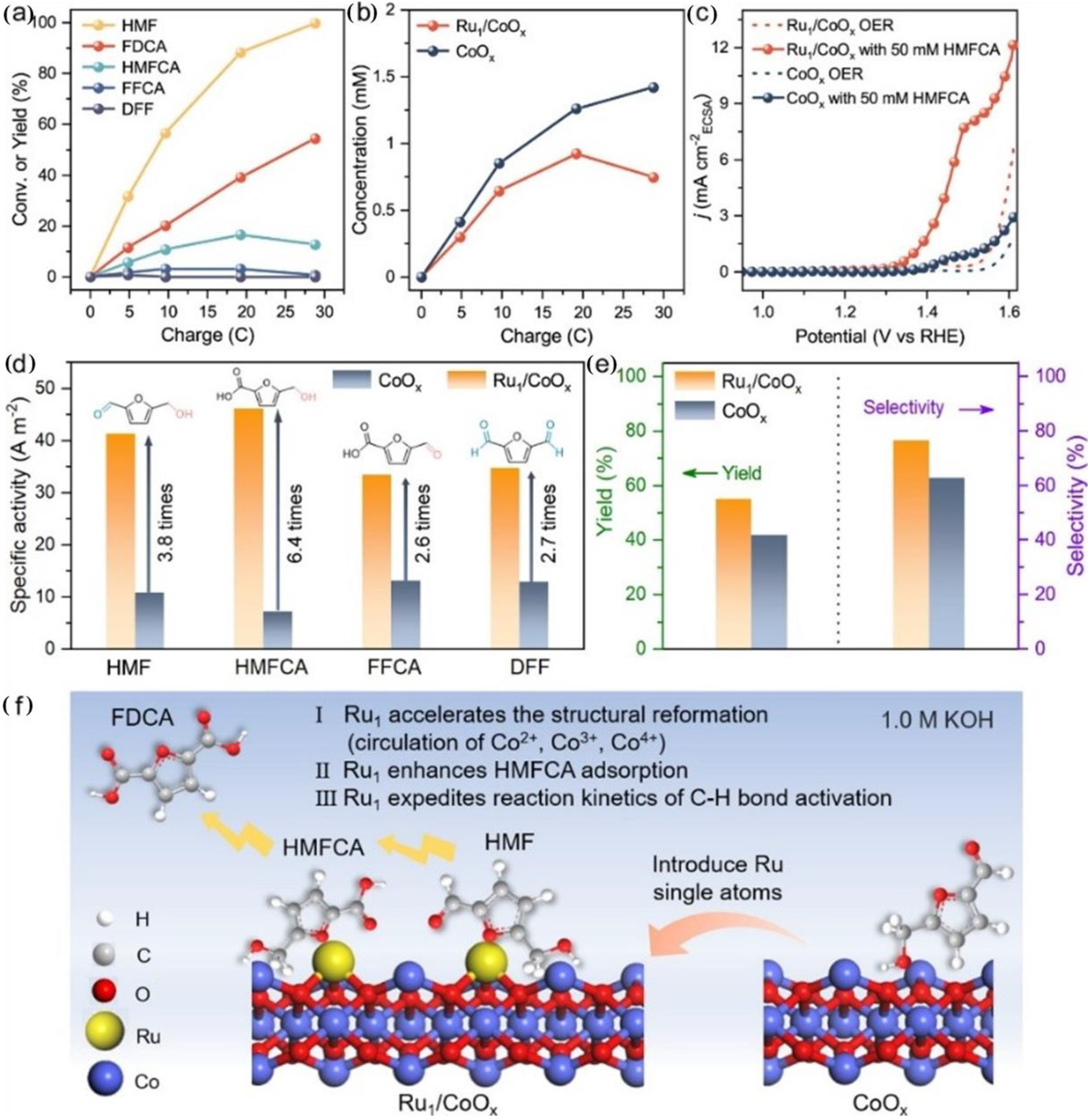 Catalysts 14 00157 g005