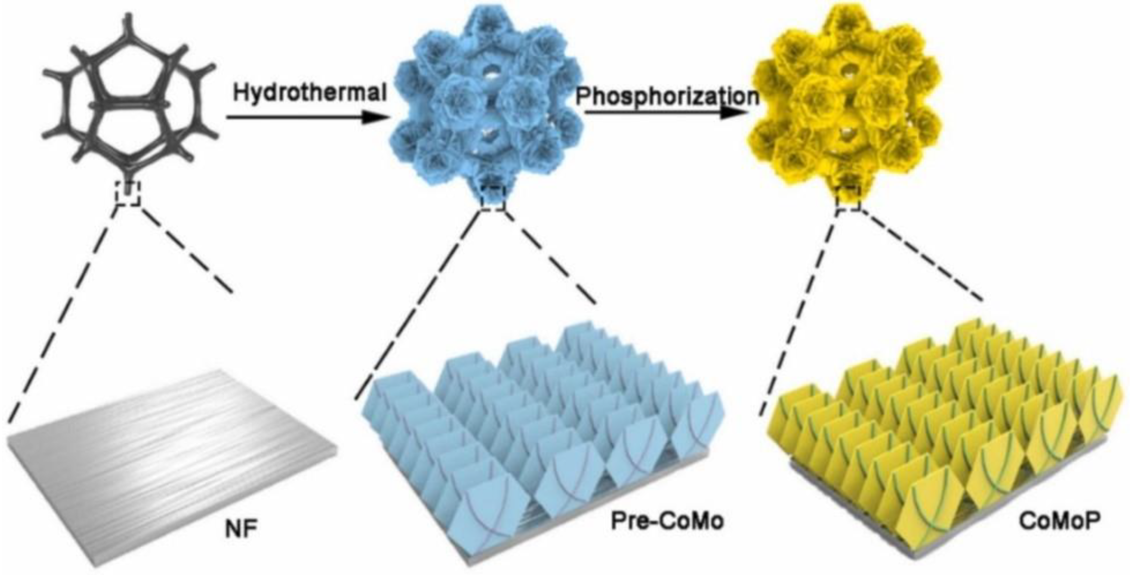 Catalysts 14 00157 g007