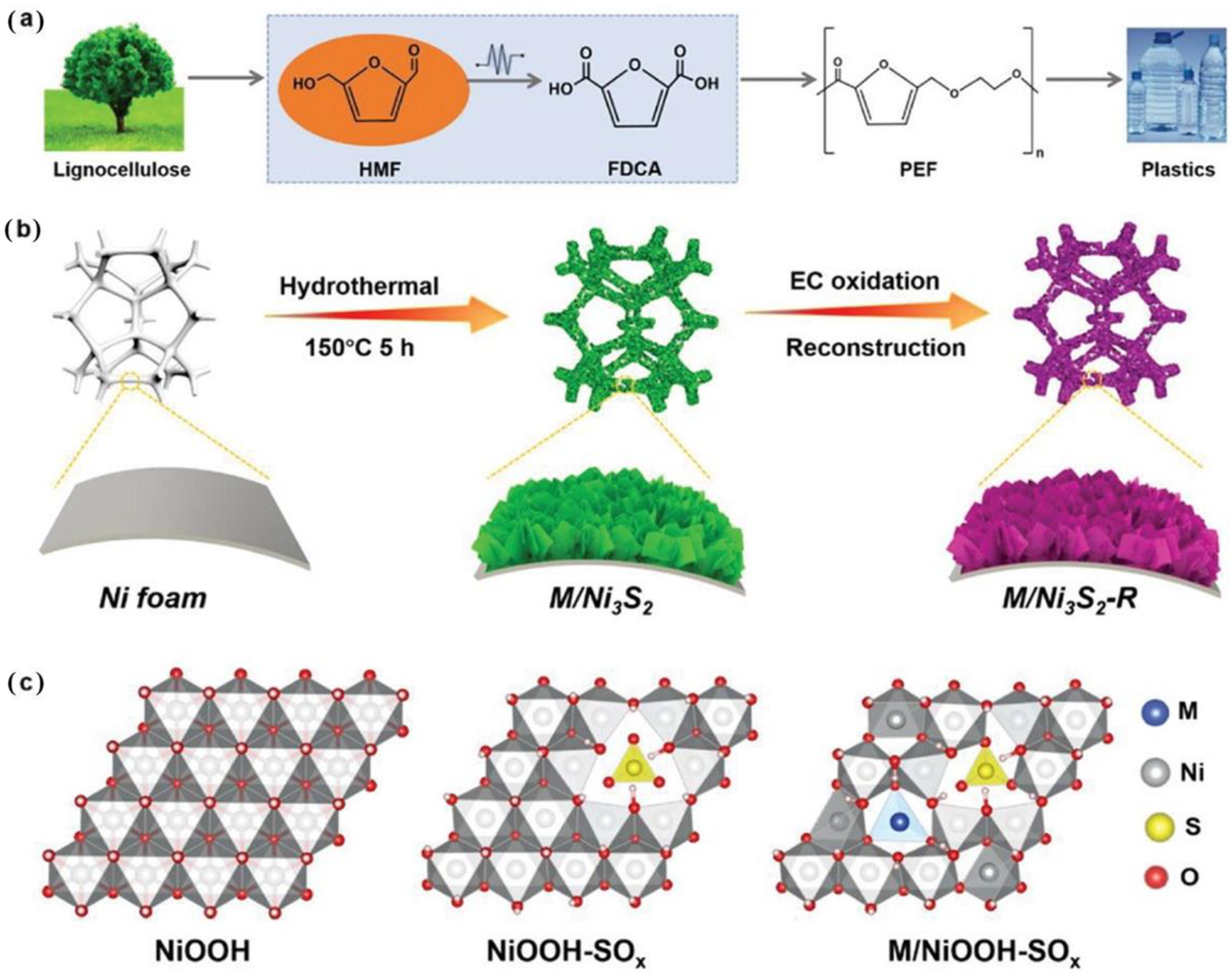 Catalysts 14 00157 g008