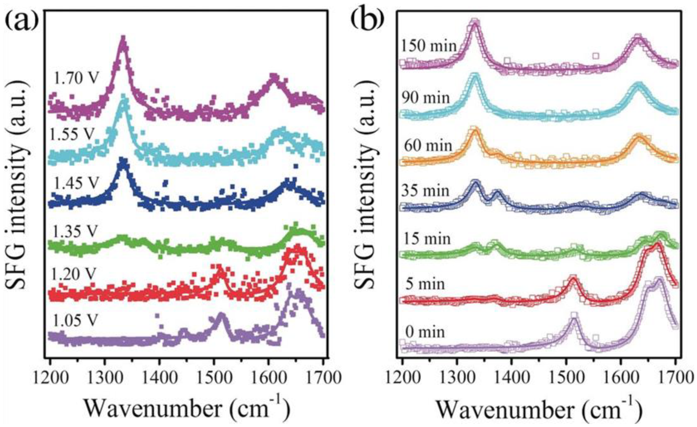 Catalysts 14 00157 g010