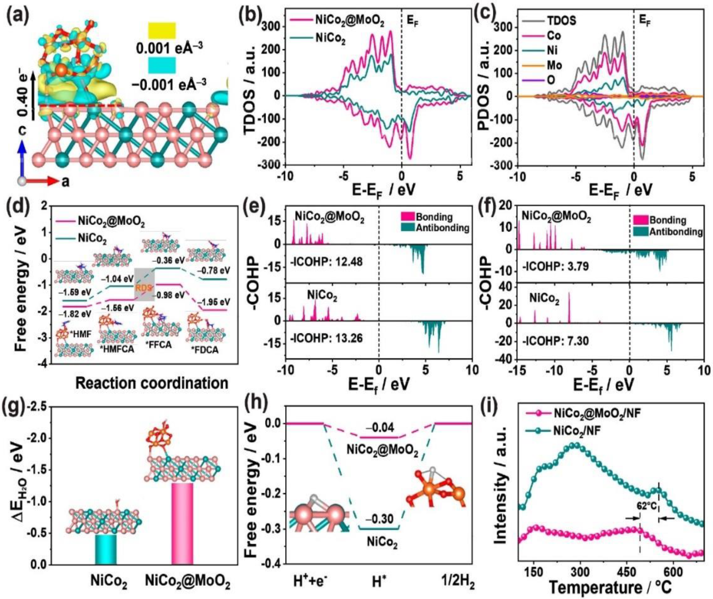 Catalysts 14 00157 g011