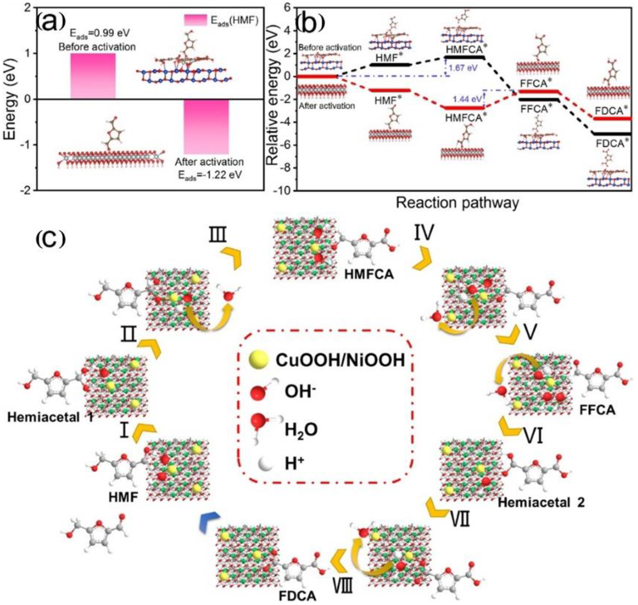 Catalysts 14 00157 g012
