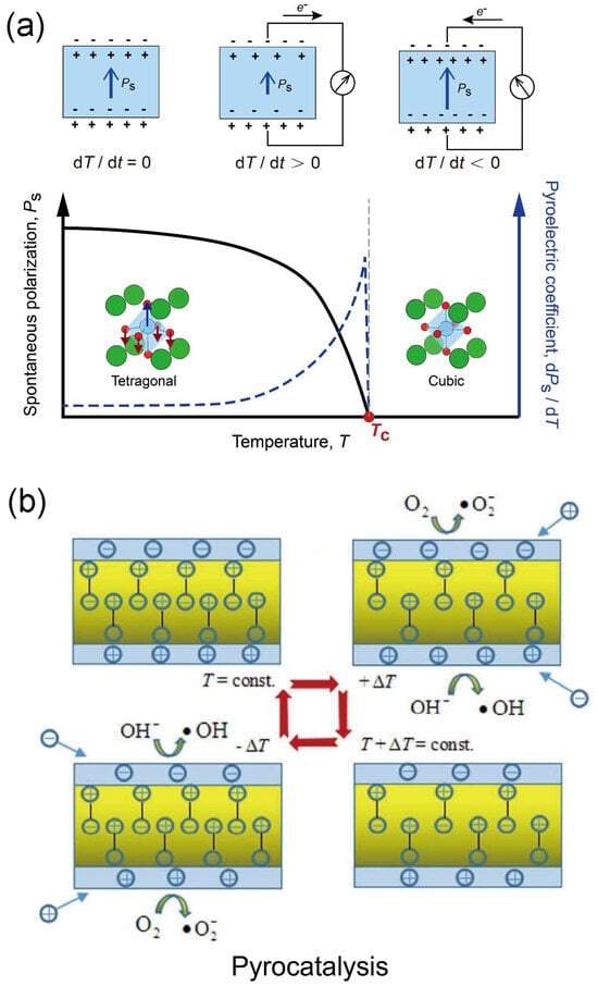 Catalysts 14 00159 g002