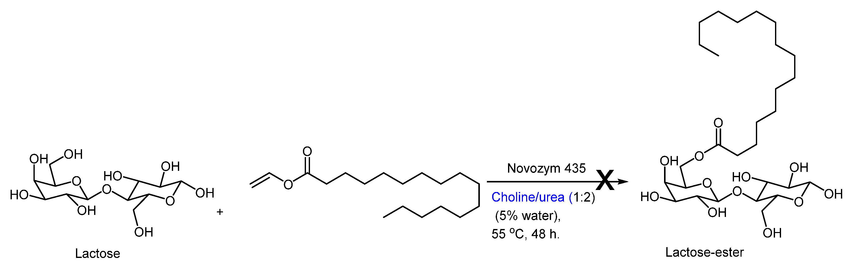 Catalysts 14 00160 sch004