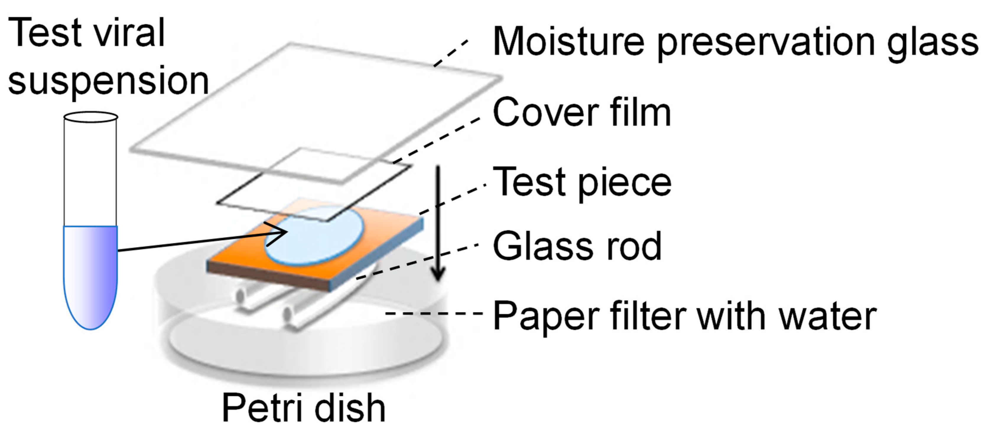 Catalysts 14 00163 g011