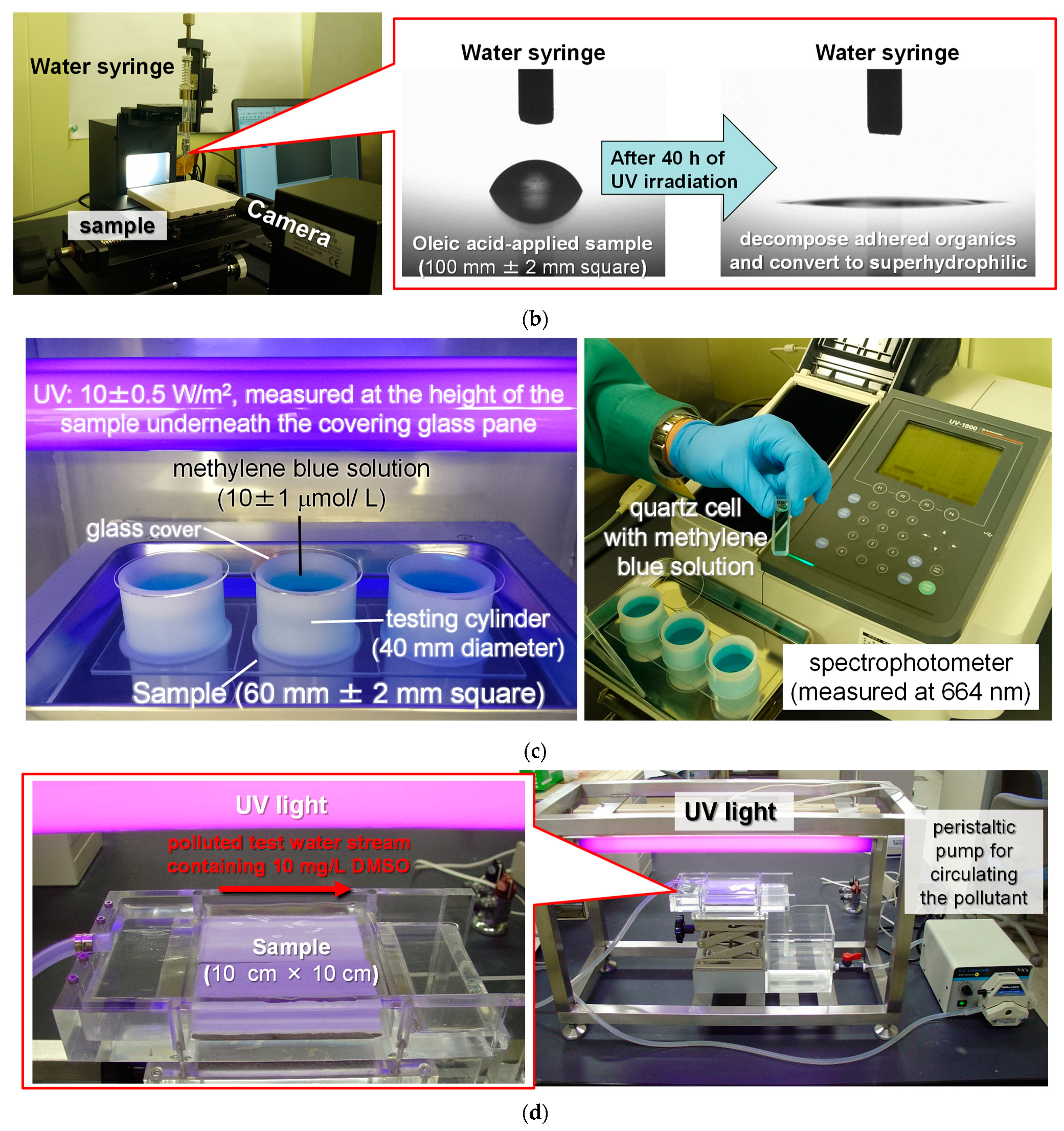 Catalysts 14 00163 g012b