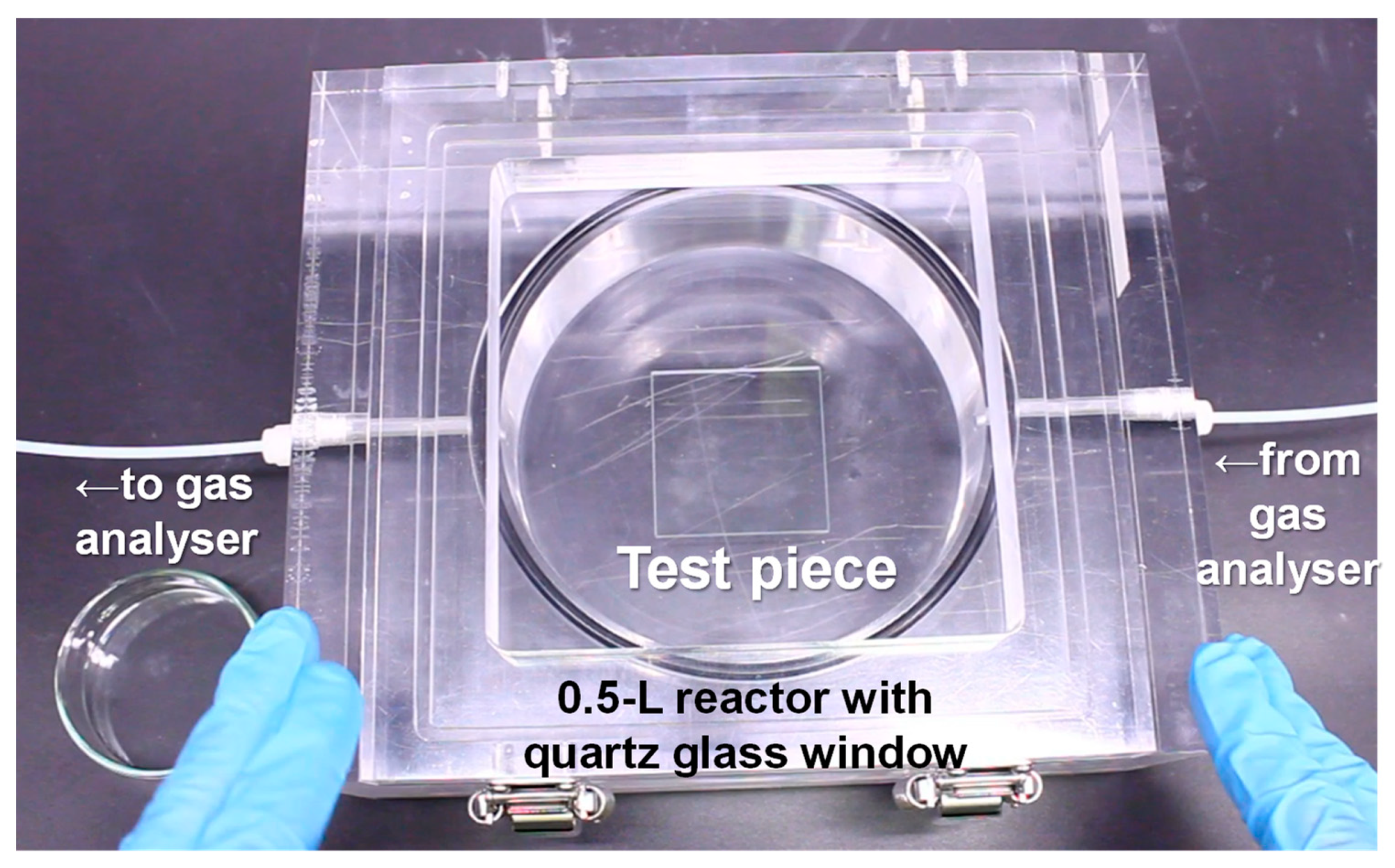 Catalysts 14 00163 g013