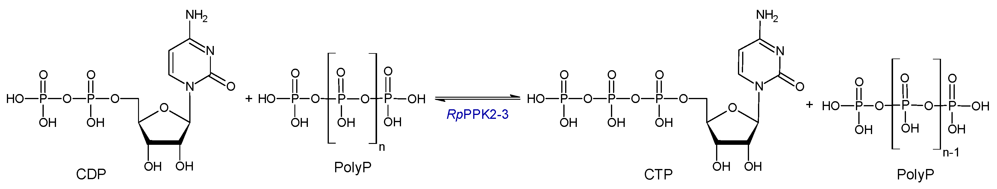 Catalysts 14 00165 sch001 Catalysts 14 00165 sch001