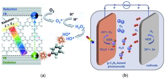 Catalysts 14 00175 g001