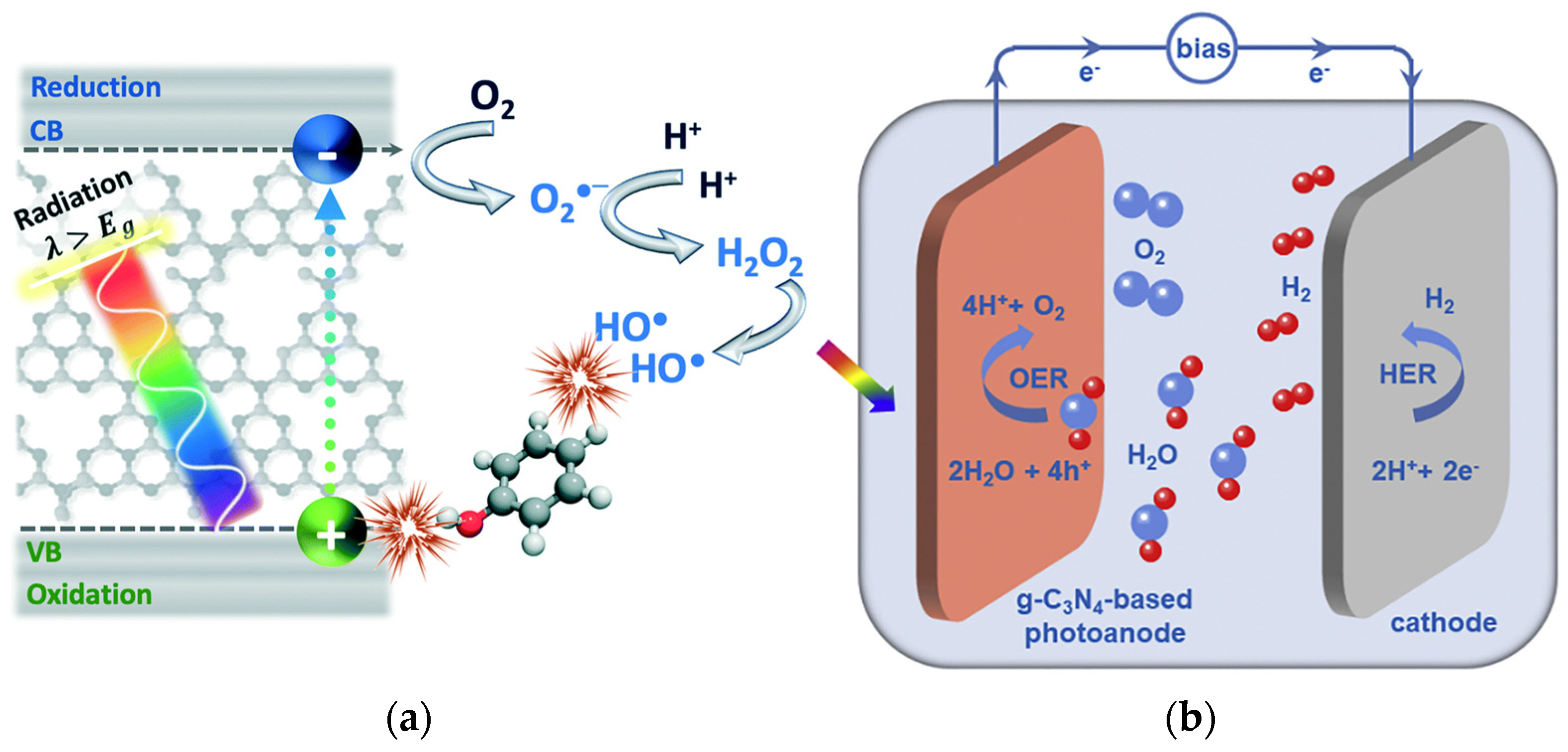 Catalysts 14 00175 g001