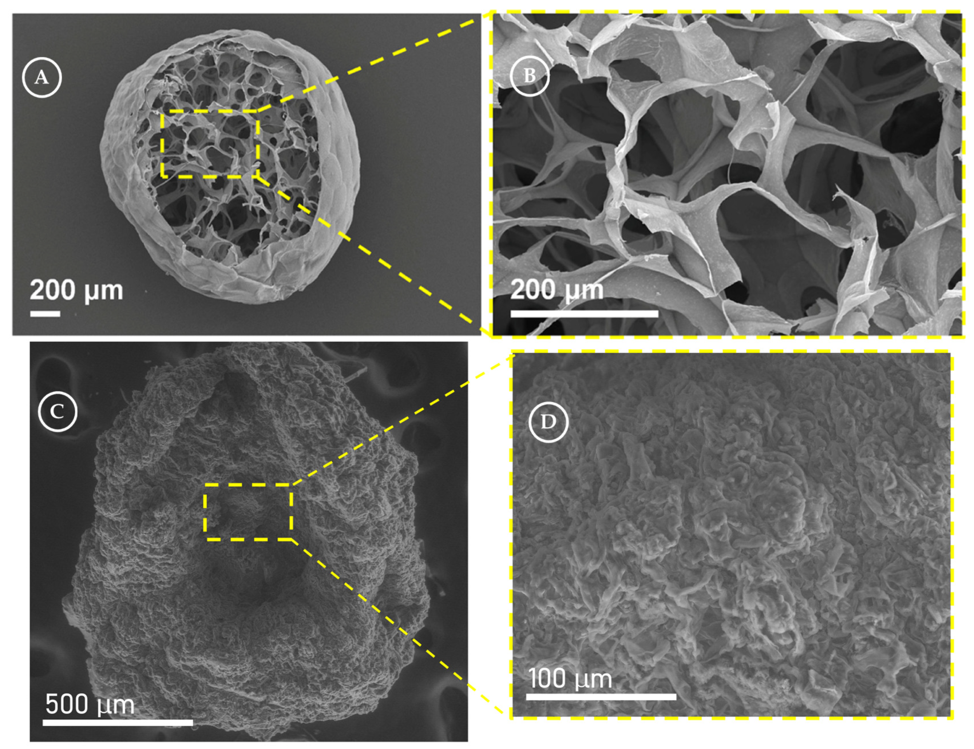 Catalysts 14 00175 g004