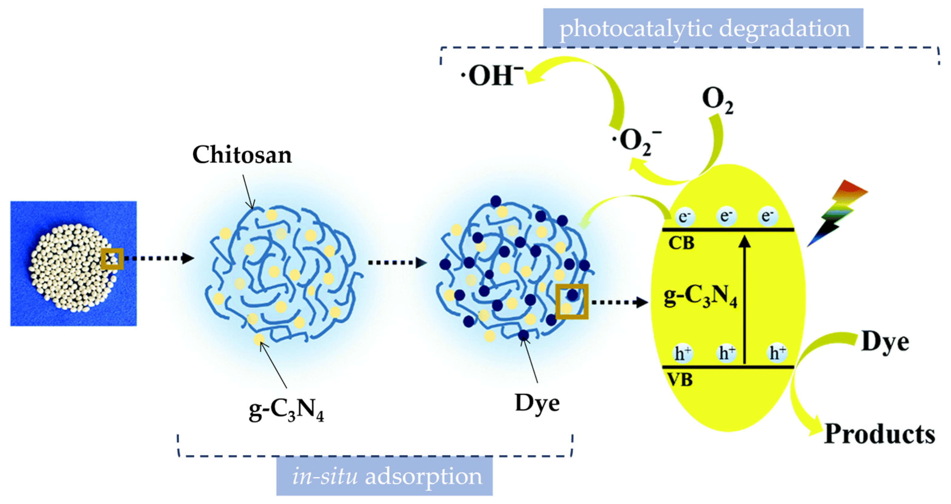 Catalysts 14 00175 g006