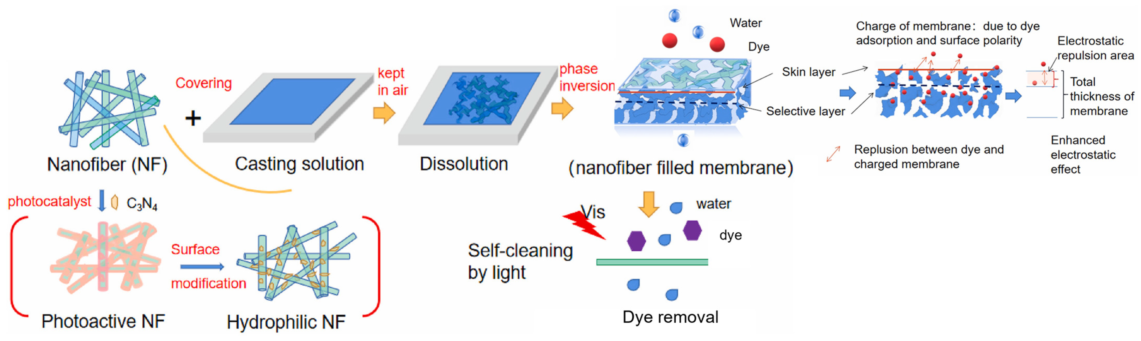 Catalysts 14 00175 g010