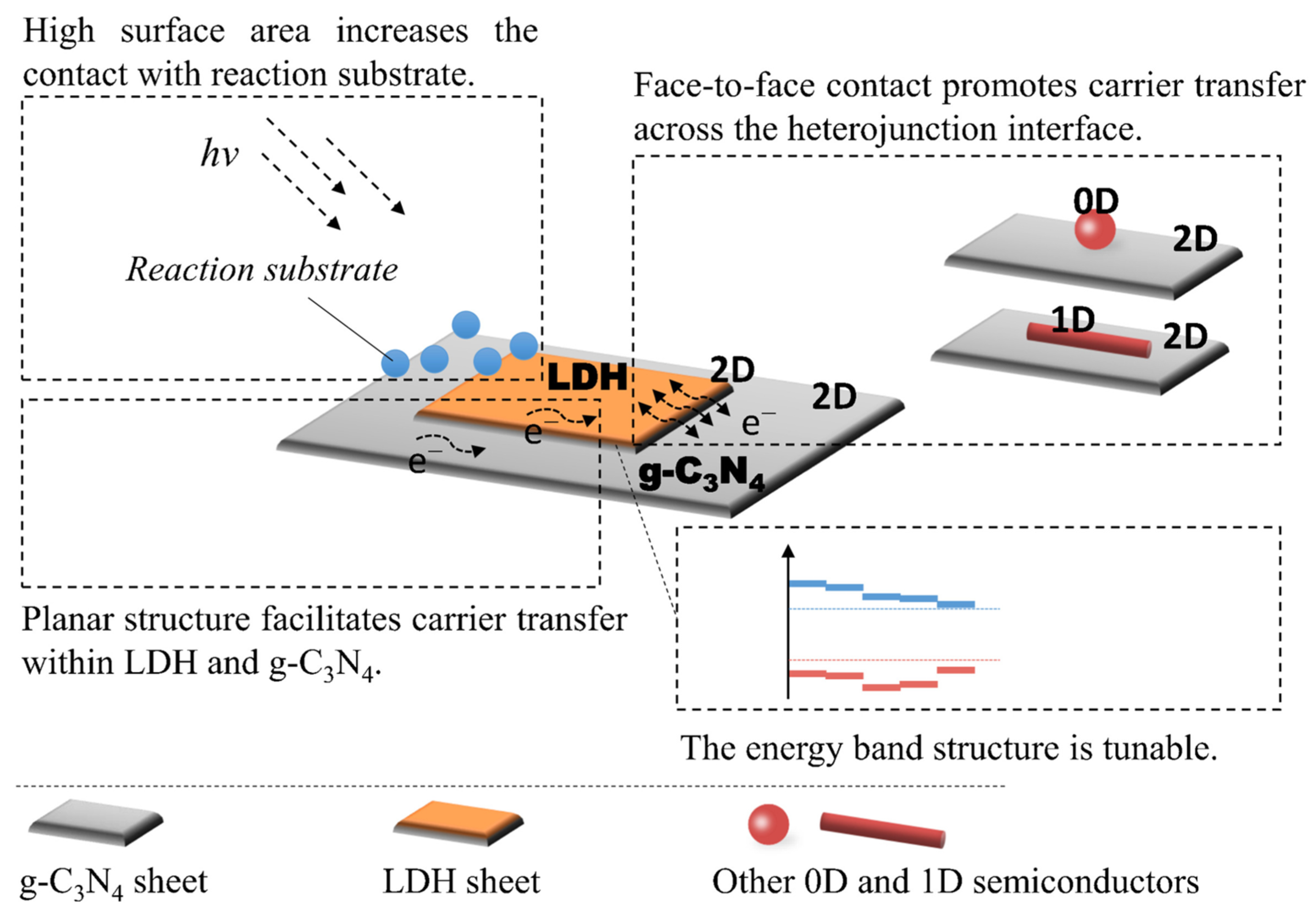 Catalysts 14 00175 g011
